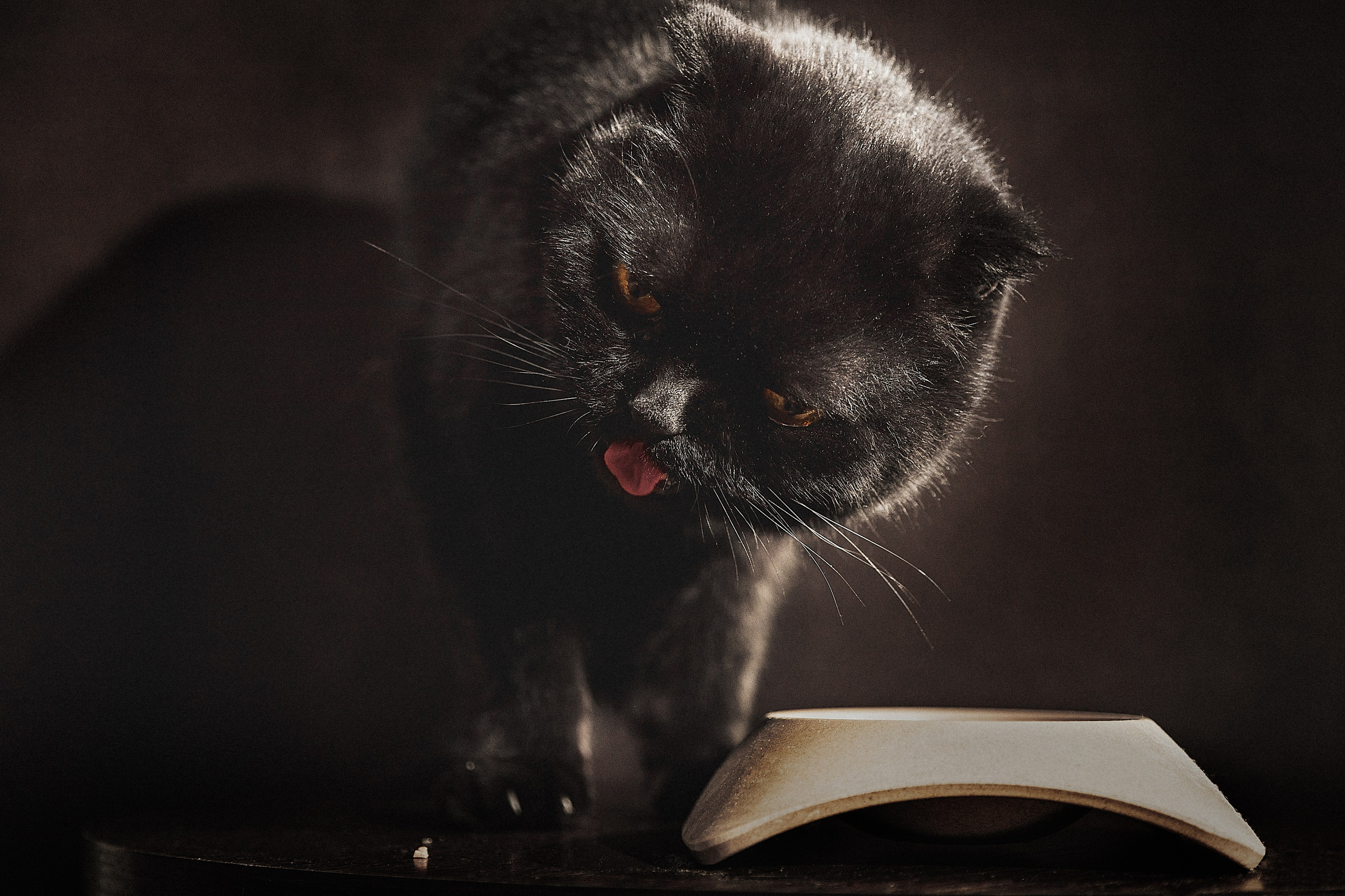 Проект «366»|2024|Фото каждый день. LENA GRACE photographer ||ЛЕНА ГРЭЙС фотограф