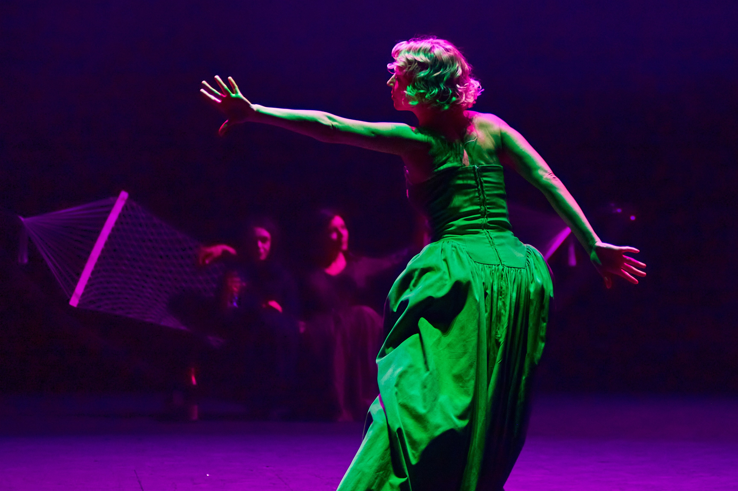 Чайка. Фотограф Юлия Маринина