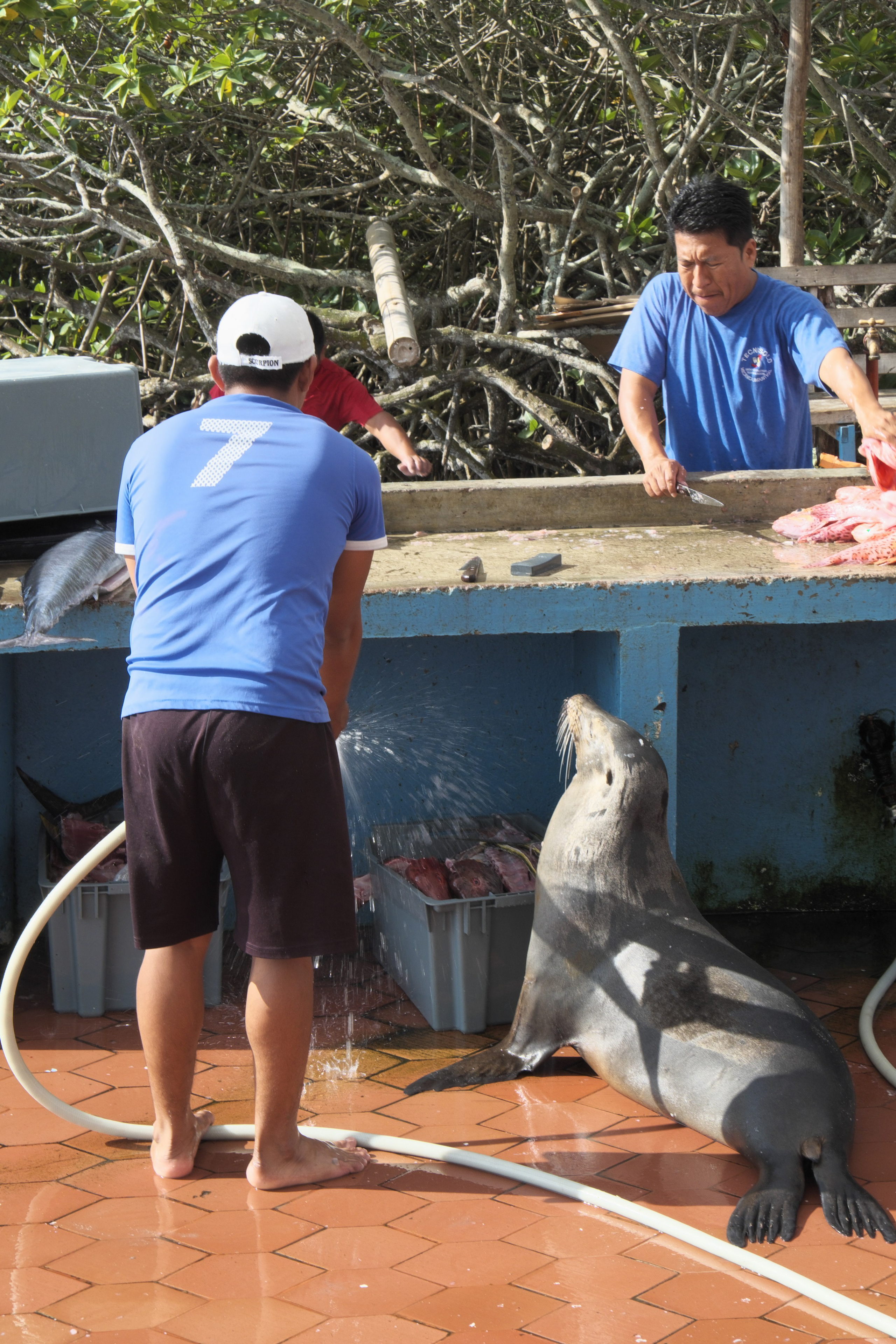 УЛИЦЫ. ПОБУДЬ ЗДЕСЬ И ЦЕЛЕЕ БУДЕТ ЭТОТ МИР