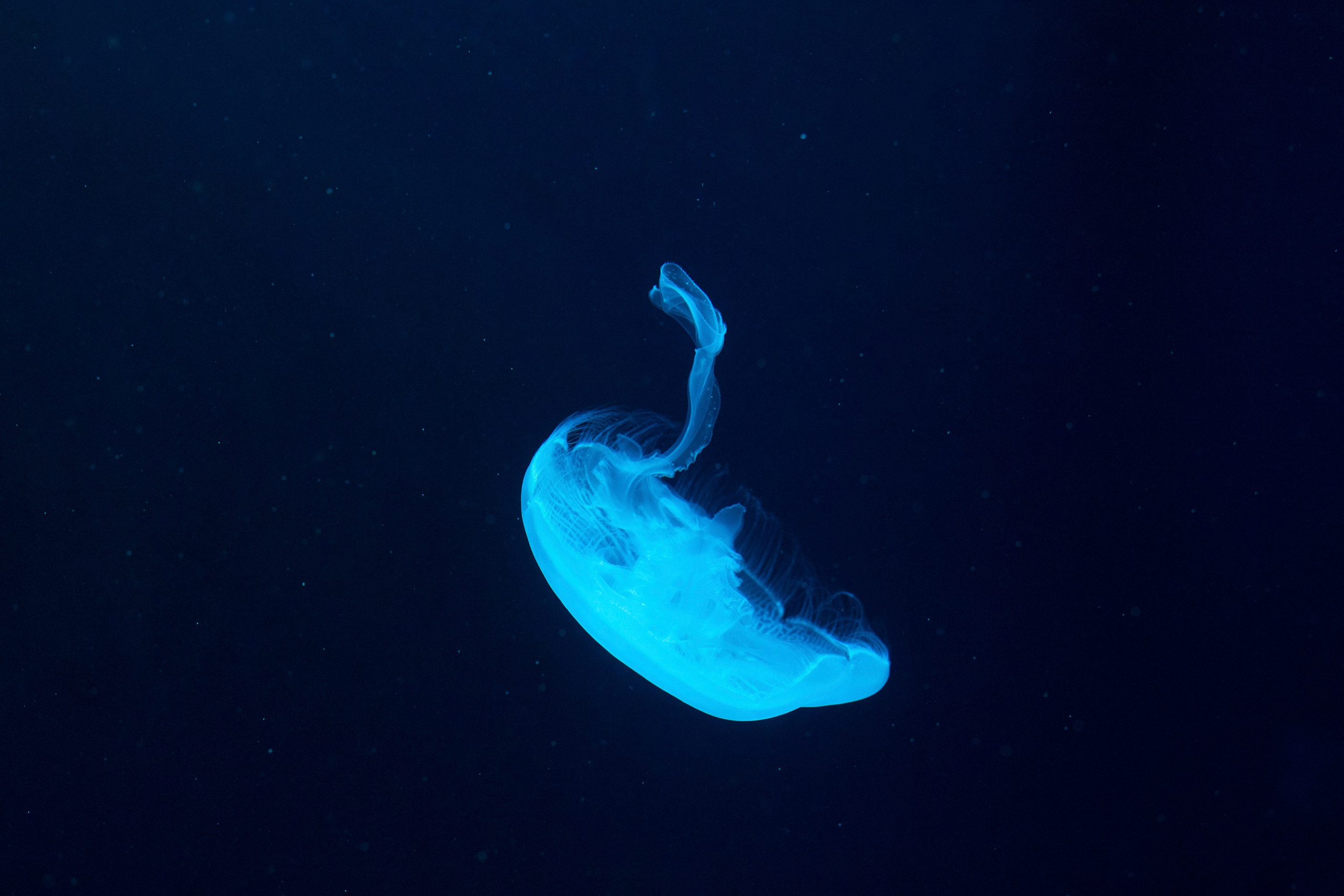 Абстракция. Команда фотографов Кристины Ивановой