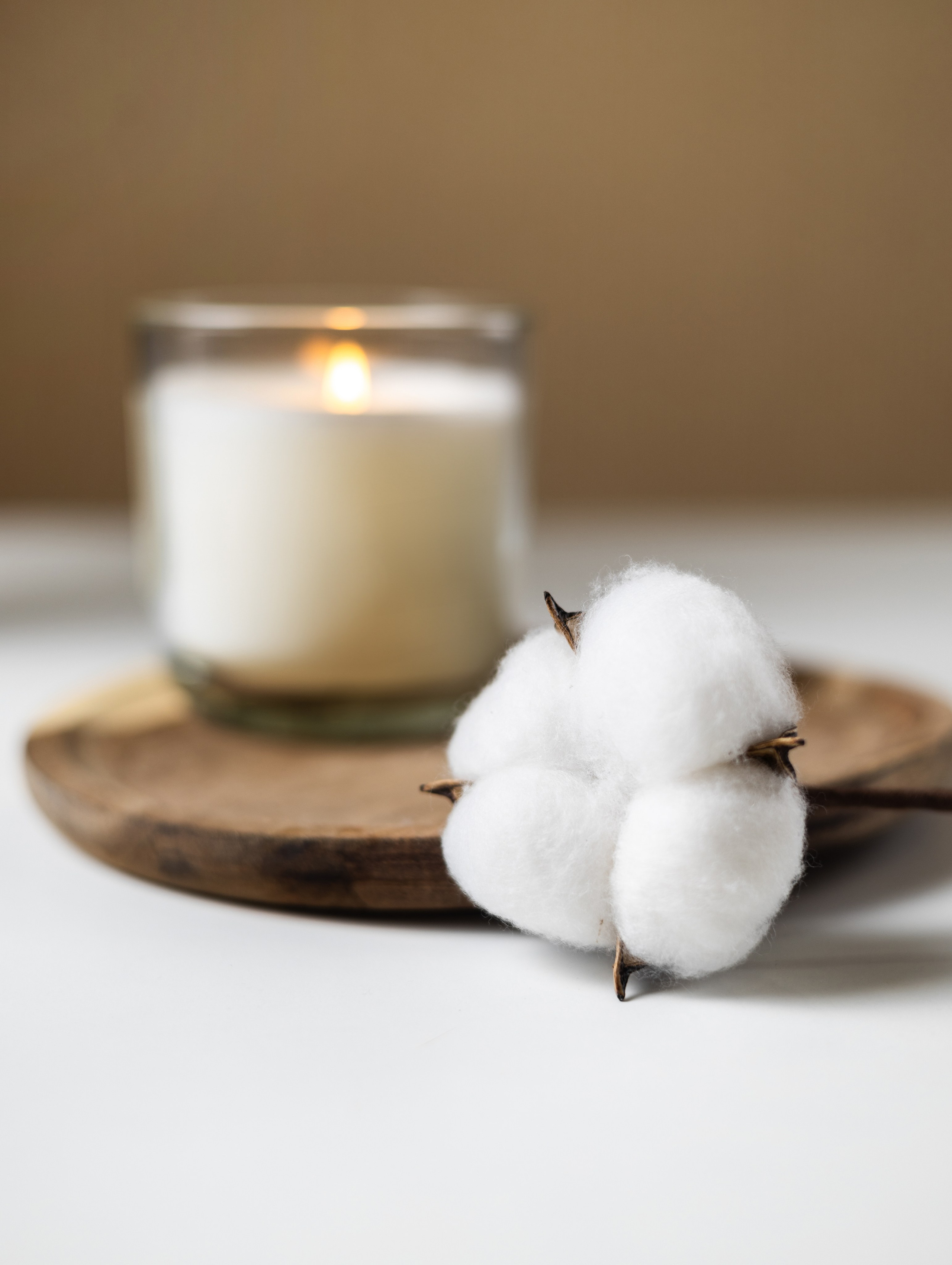 Сухоцветы для Wildberries. СЕМЕЙНЫЙ И ПРЕДМЕТНЫЙ ФОТОГРАФ — ЛЕНА ГОНЧАР | КРАСНОДАР | МАЙКОП