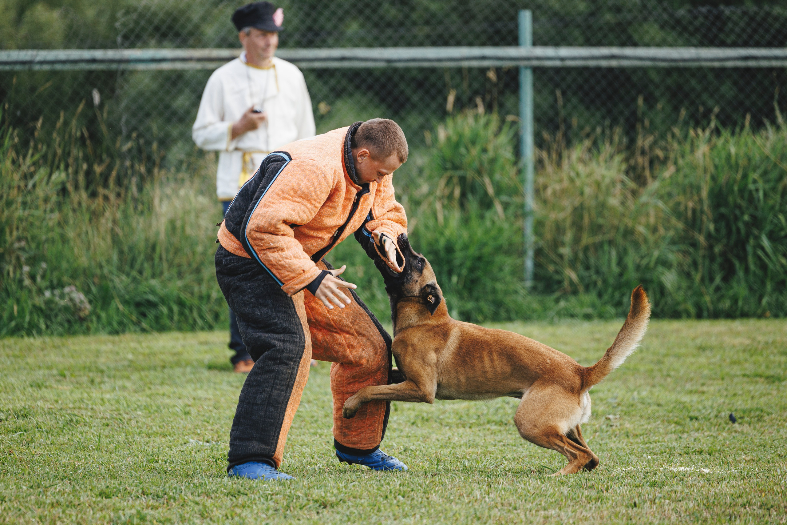 08.08.25-10.08.25 ЧР по мондьорингу г. Вологда. Фотограф-анималист Анна Маринич