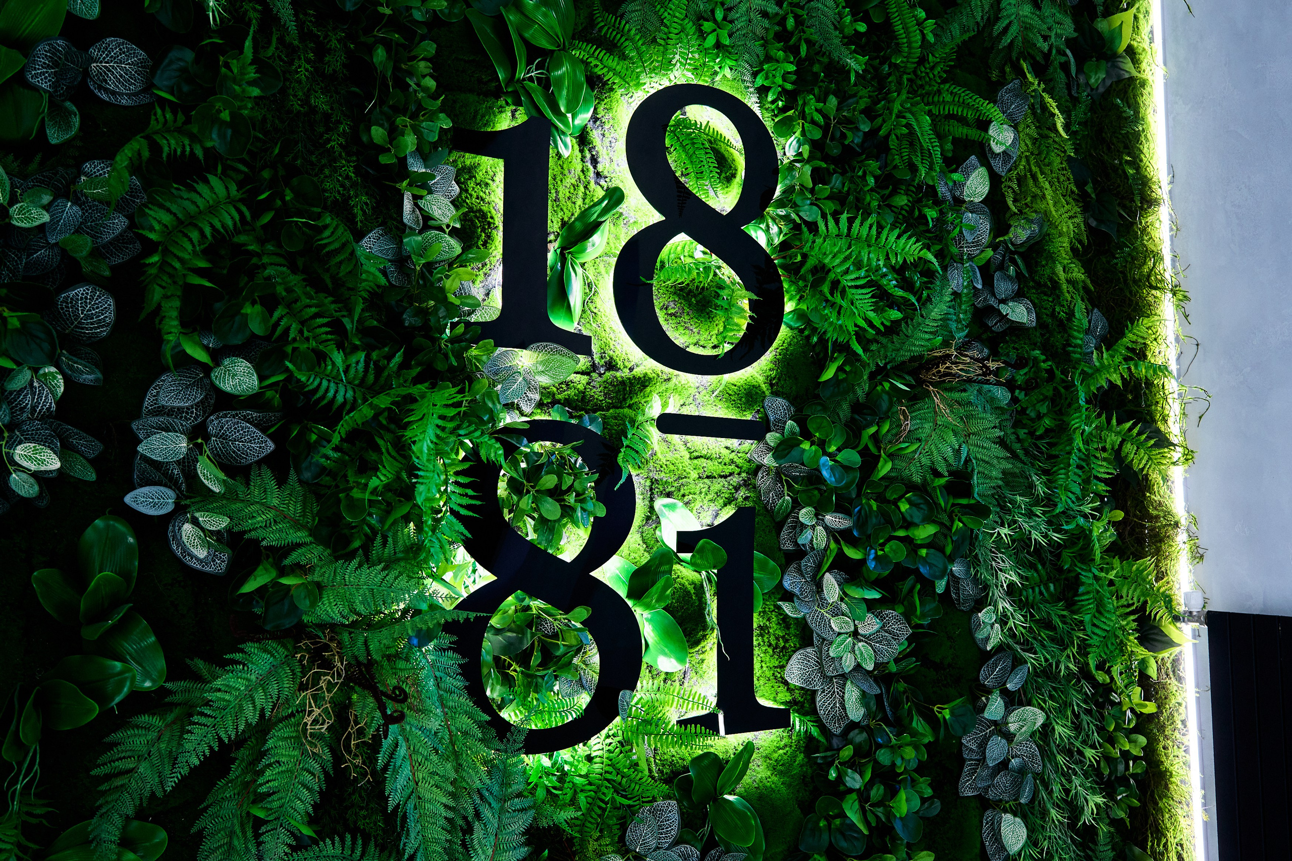 Интерьерная съемка 1881. Фотограф в Хабаровске