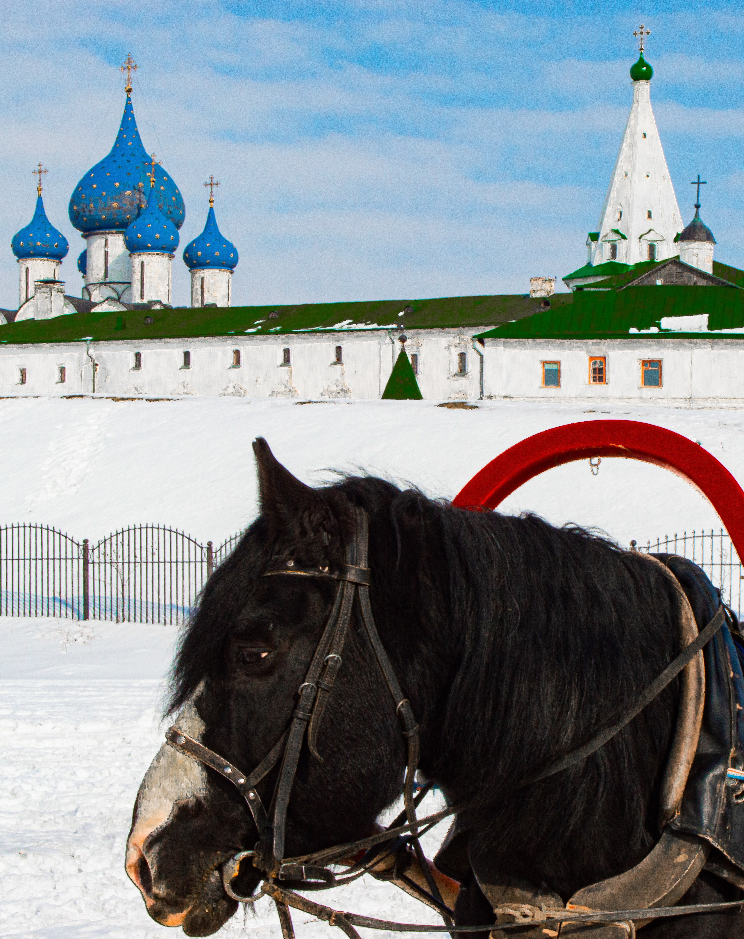 The serving horse. Suzdal, 2023.