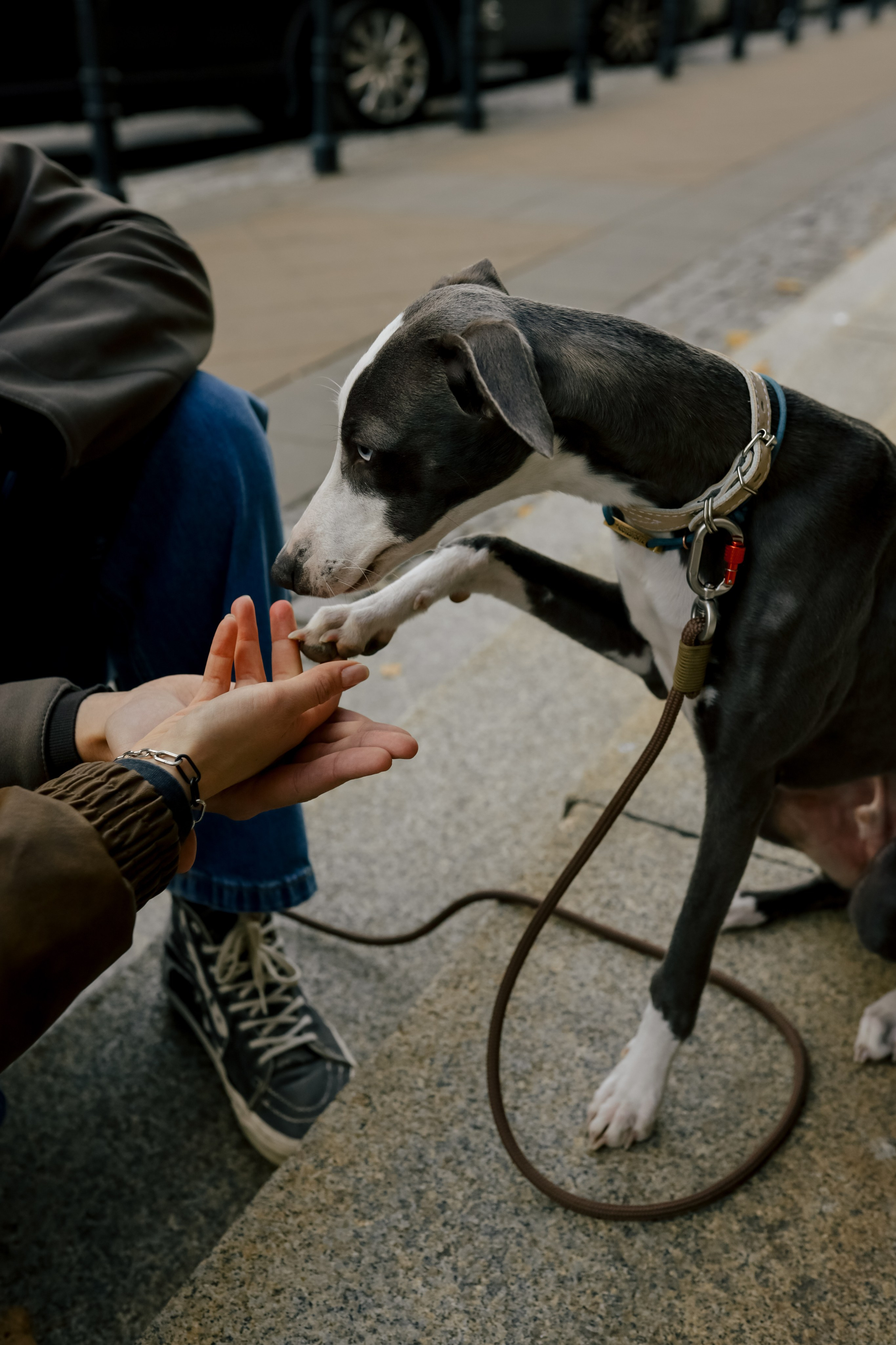 Первая осень Йотуна. Свадебный и семейный фотограф в Варшаве