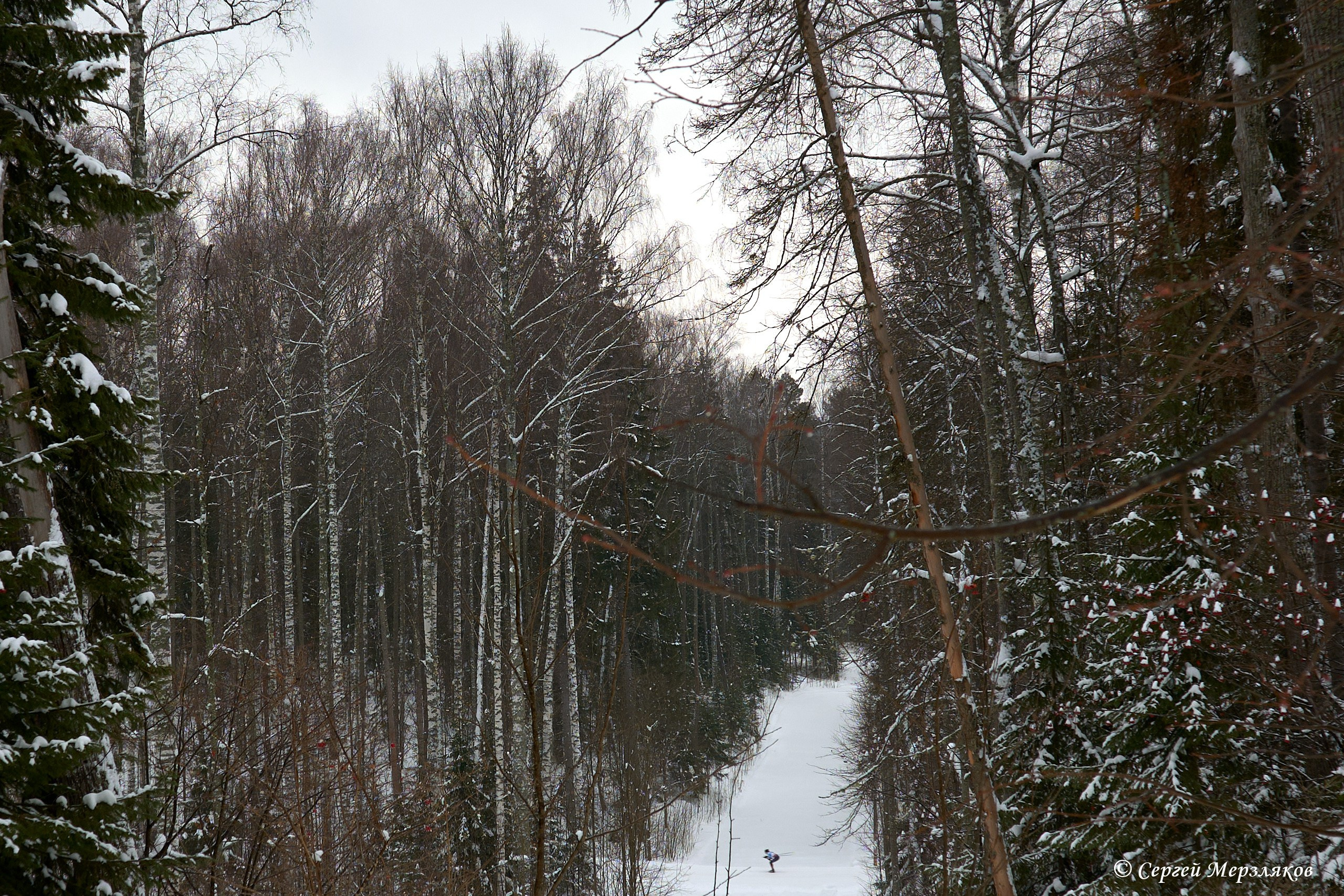 Всероссийские соревнования по лыжным гонкам на призы ЗМС Галины Кулаковой. Спортивный репортажный фотограф в Ижевске Сергей Мерзляков