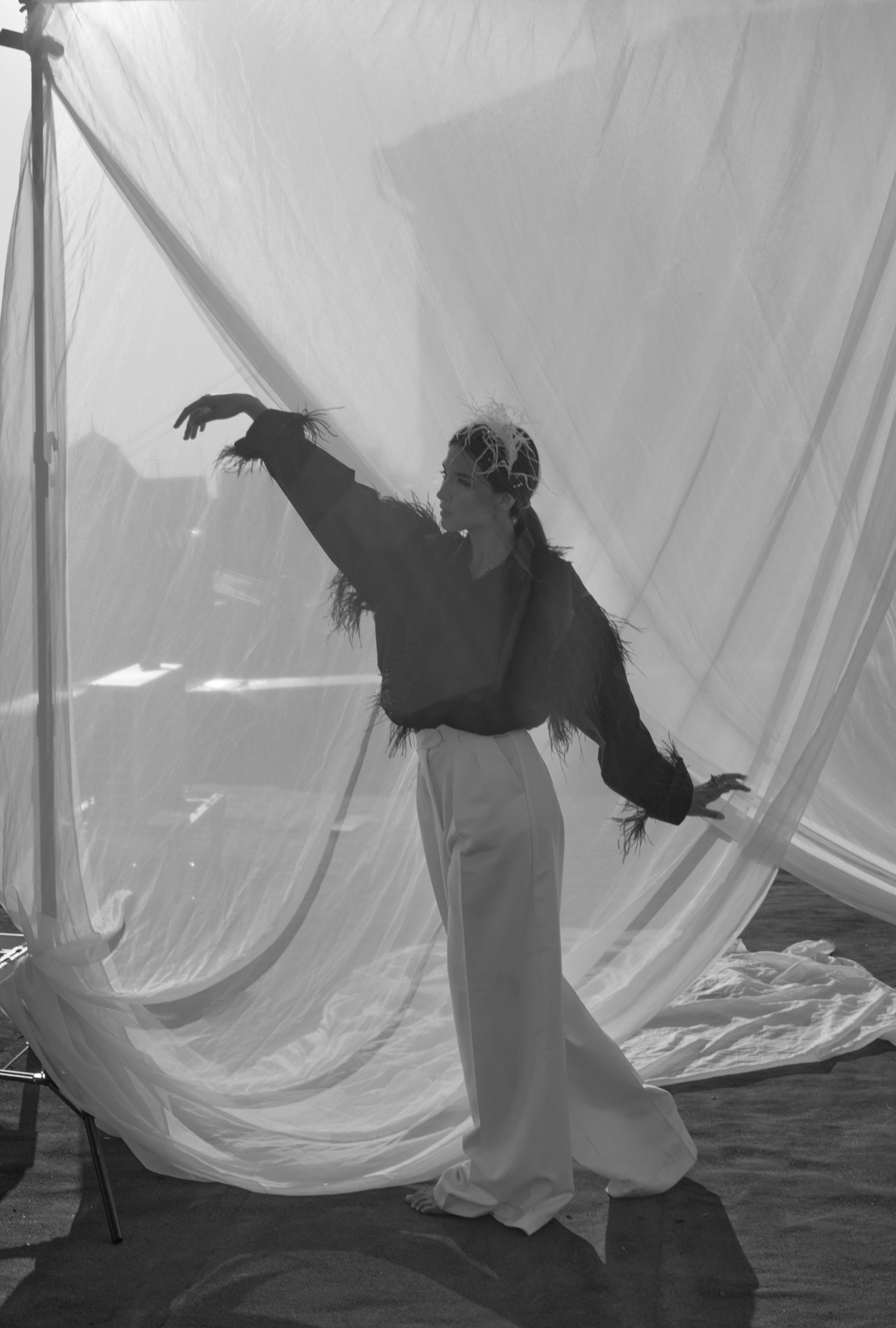 Царевна лебедь. Главная