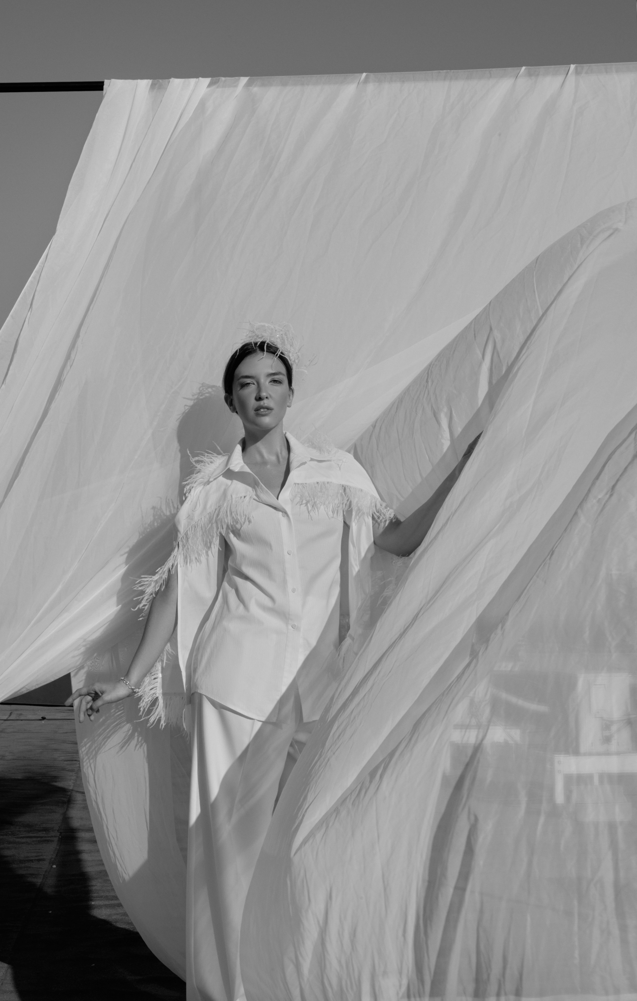 Царевна лебедь. Главная