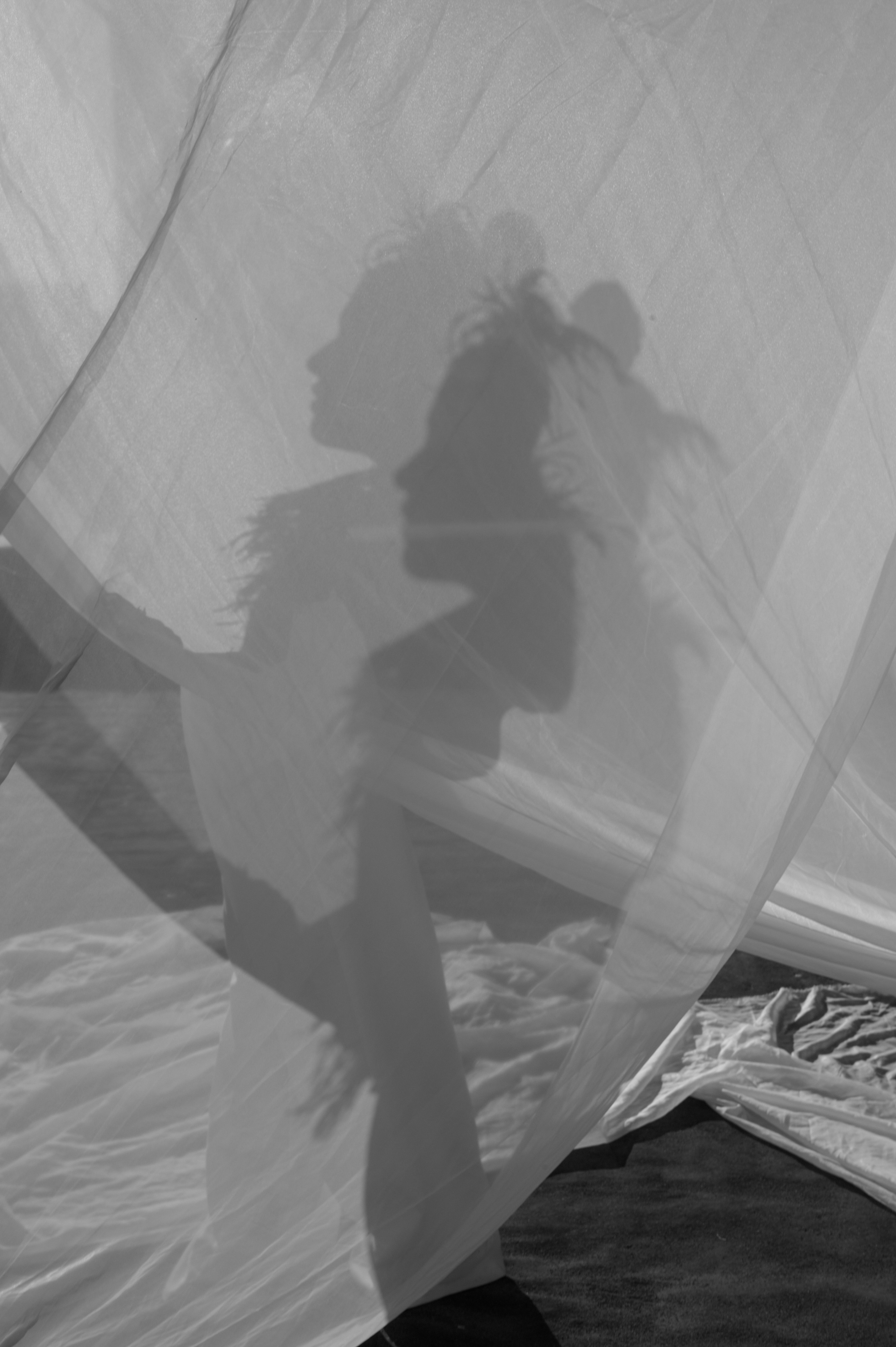 Царевна лебедь. Главная