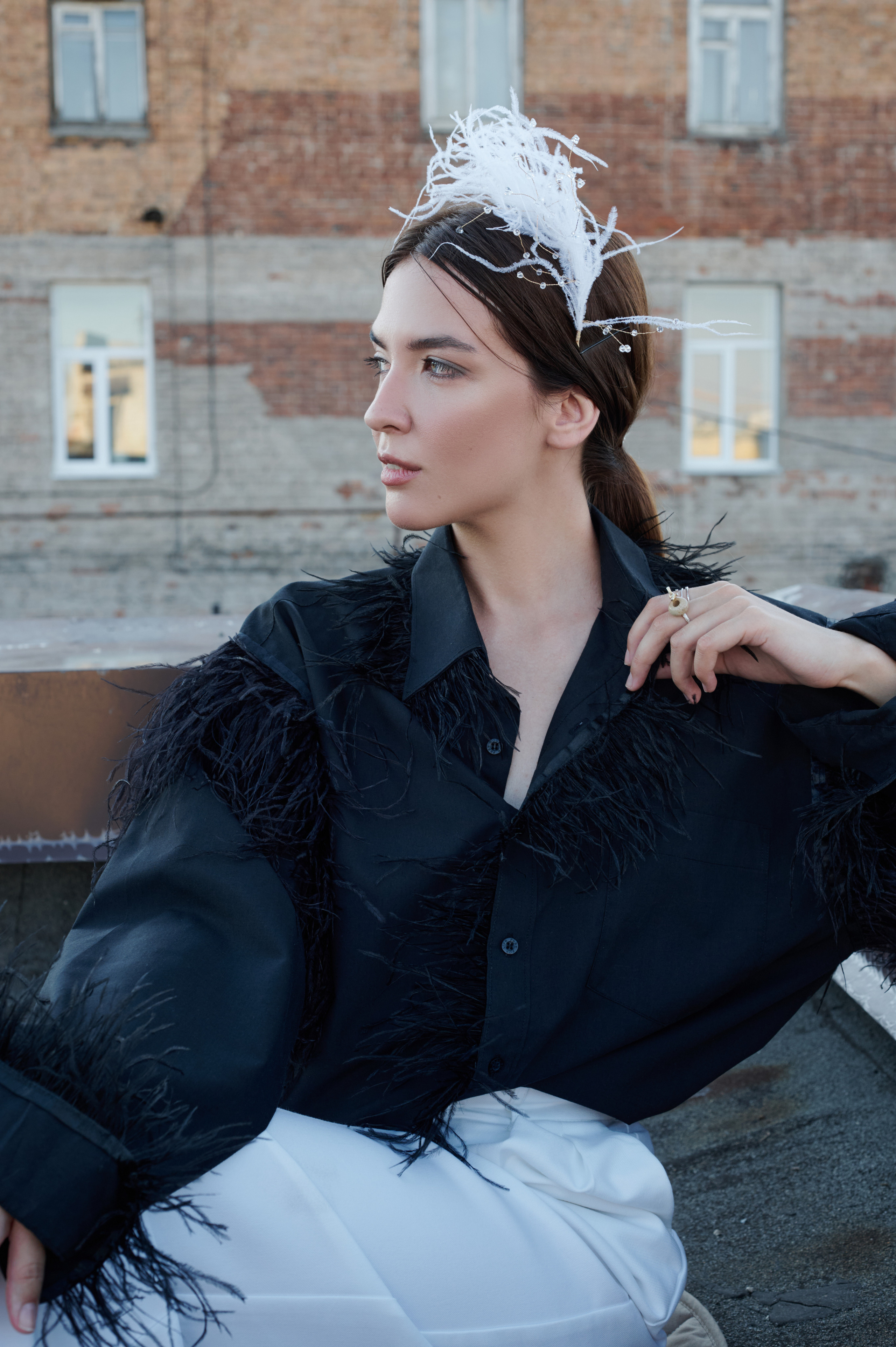 Царевна лебедь. Главная