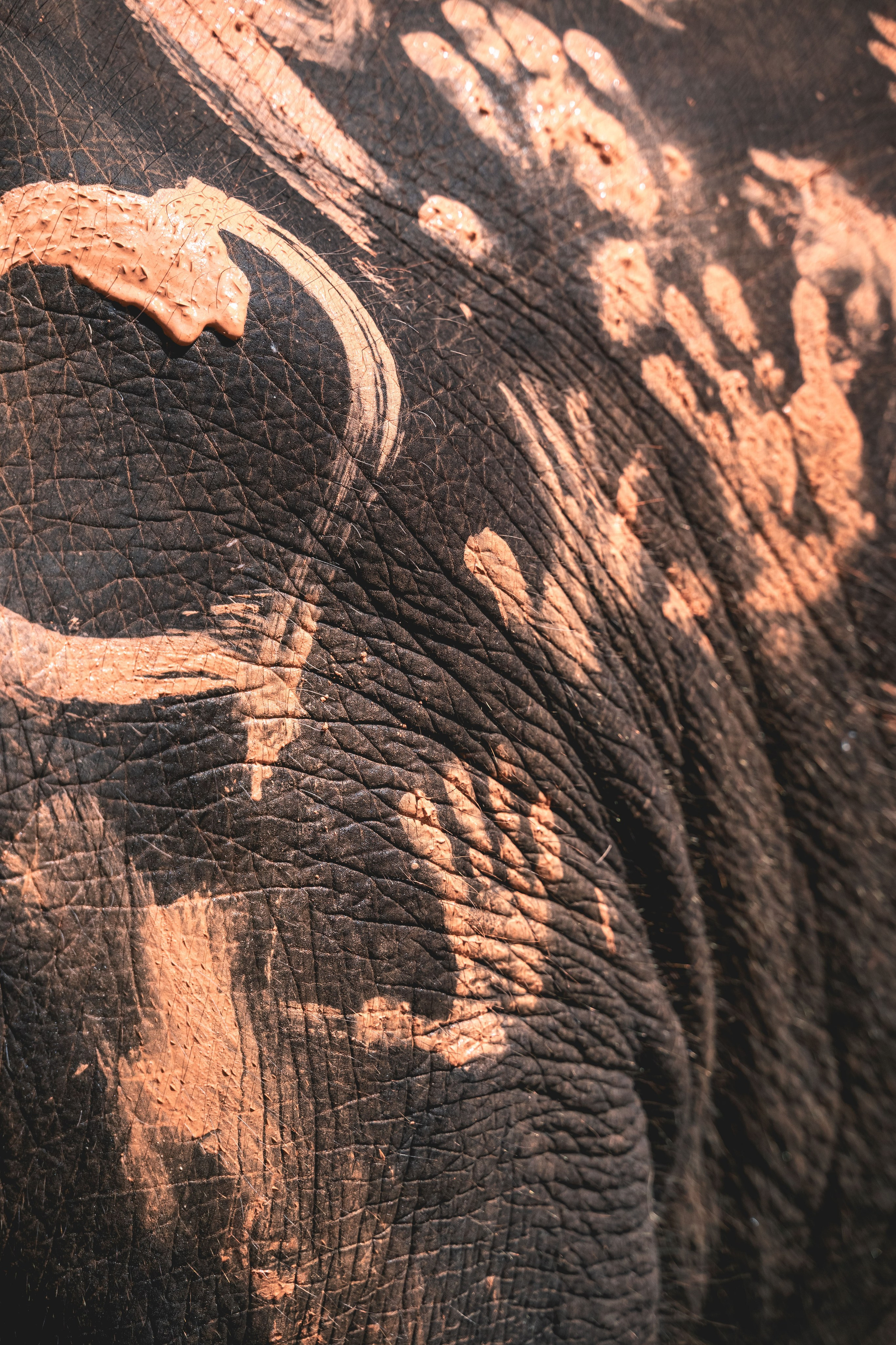 FAMILY & LOVESTORY. Photographer Phuket