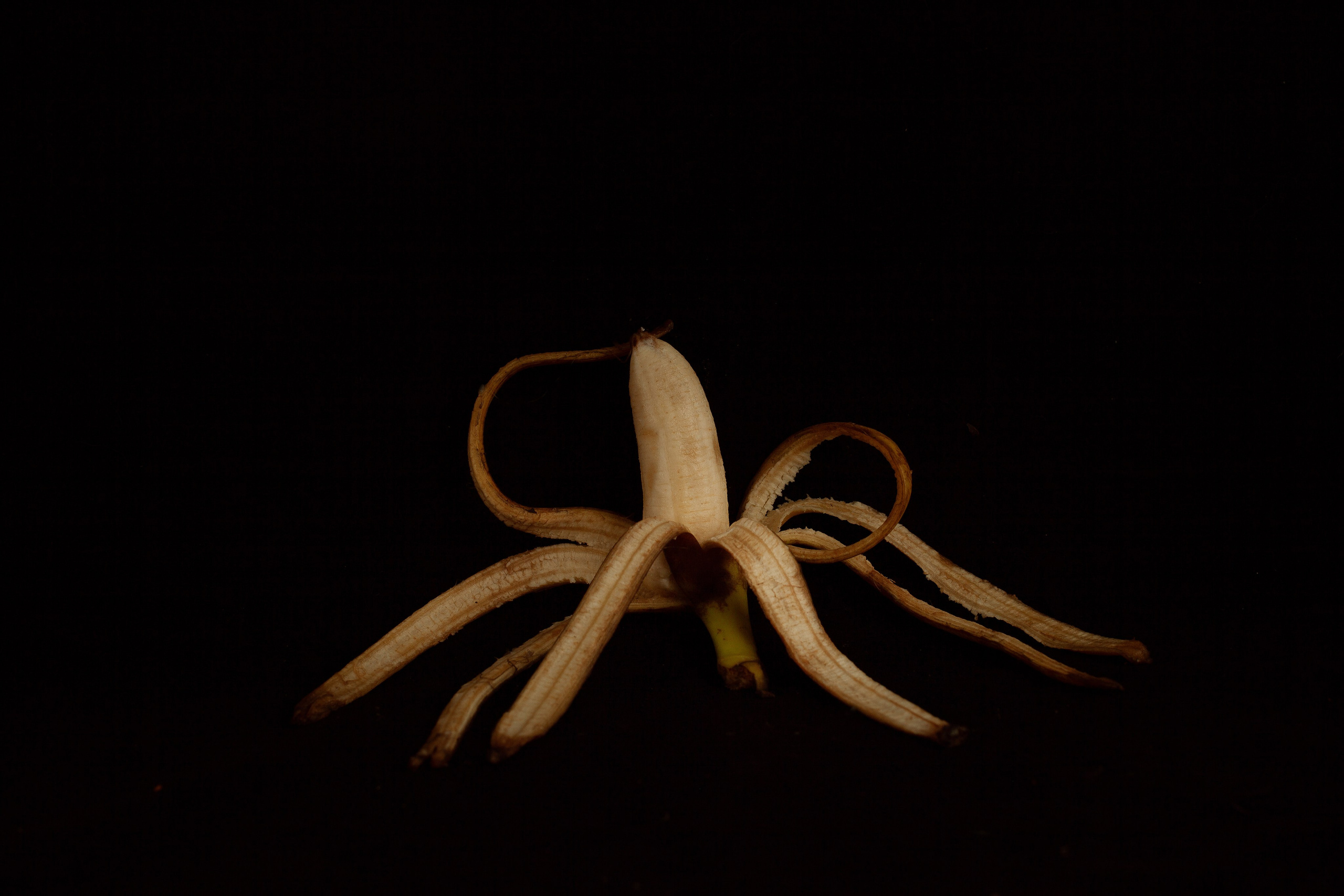 Красота тоже рядом с нами. Медиапродюсер, фотограф в Минеральных Водах —Виктор Холодов