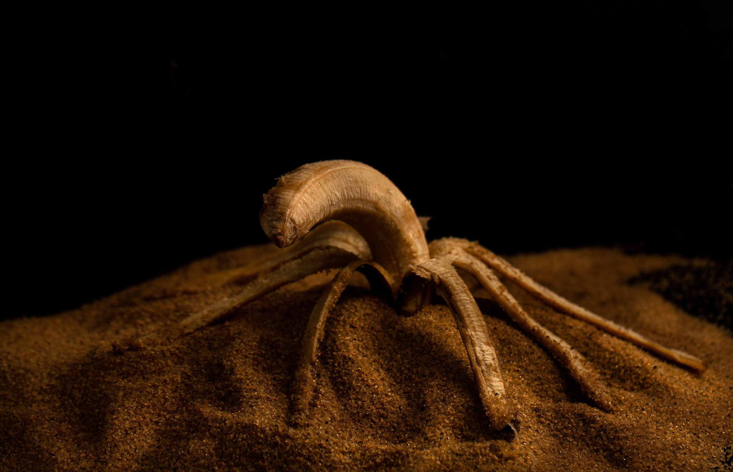 Бананы и тыквы в фотоискусстве. Медиапродюсер, фотограф в Минеральных Водах —Виктор Холодов