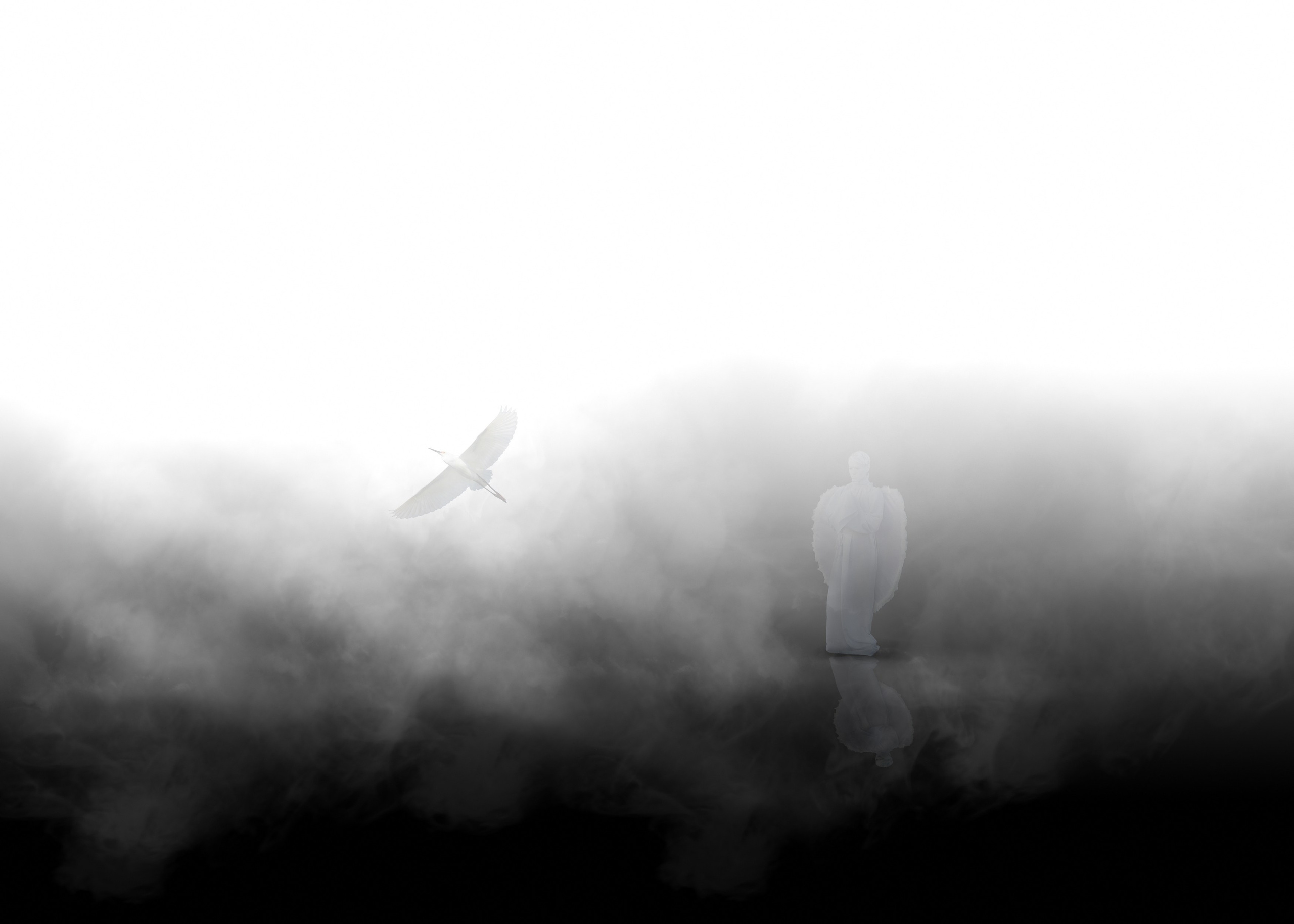 Ангел тебя спасёт. 