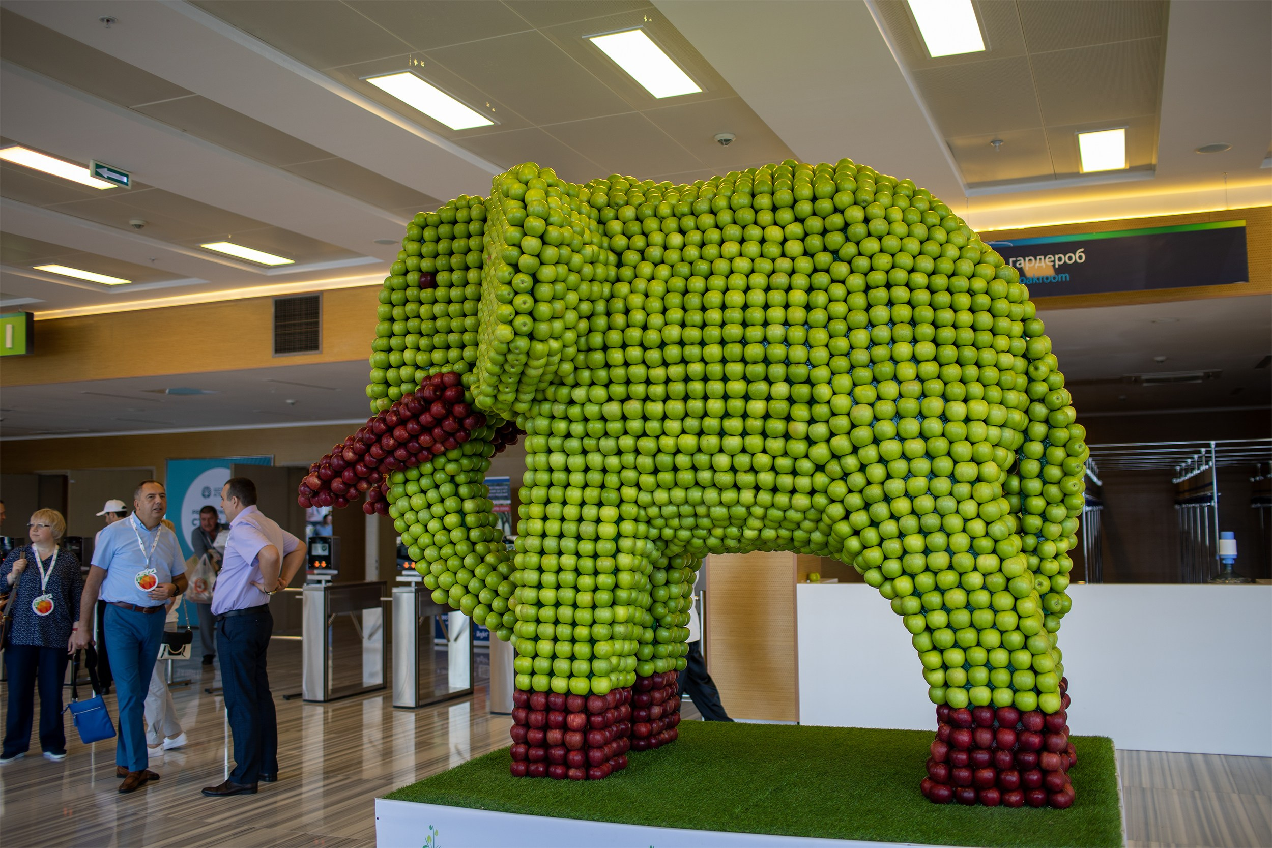 «ЭКСПО Мин Воды» — Pro яблоко. Медиапродюсер, фотограф в Минеральных Водах —Виктор Холодов