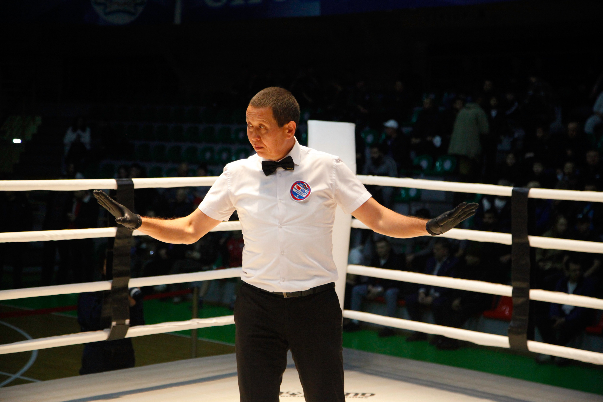 БОКС. Фото. Спортивный фотограф, трансляция, звук и свет в Новосибирске