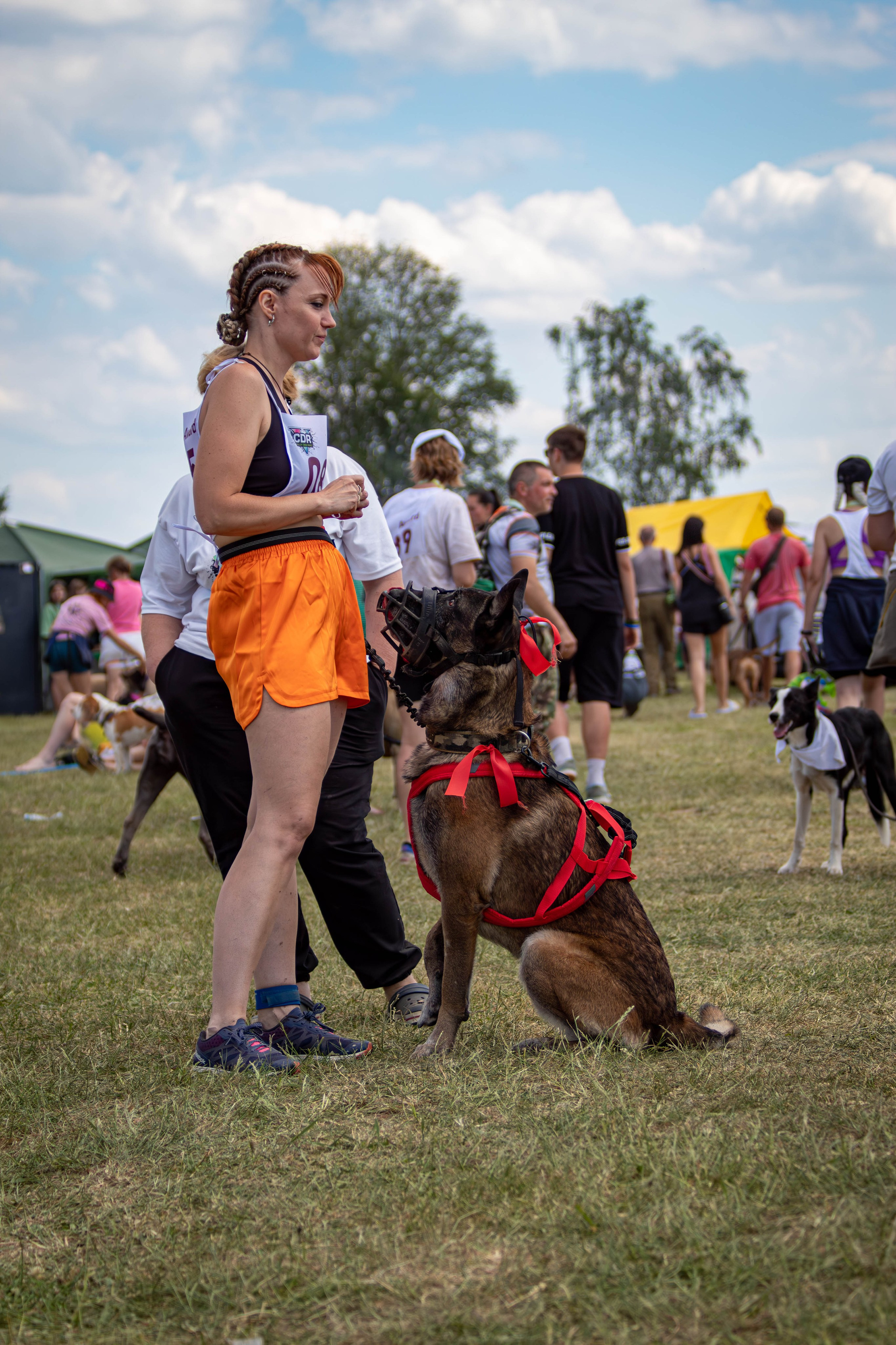 Хвостатый Драйв 2024. Фотограф анималист — Тула, Москва