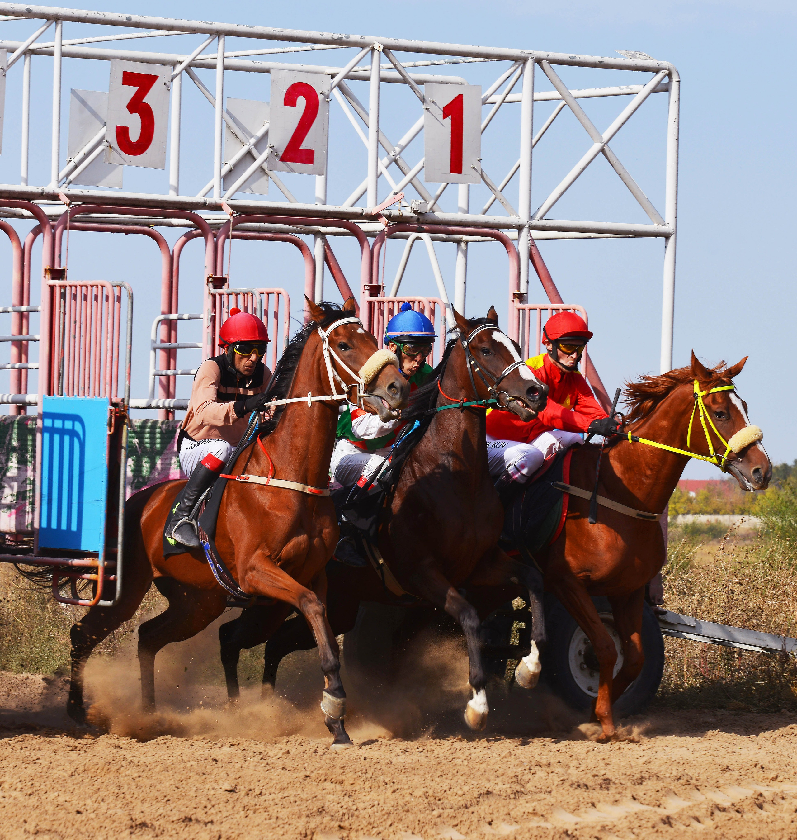 Скачки. Фотосъёмка. Фотограф Сергей Авдеев-семейный и детский фотограф в Алматы