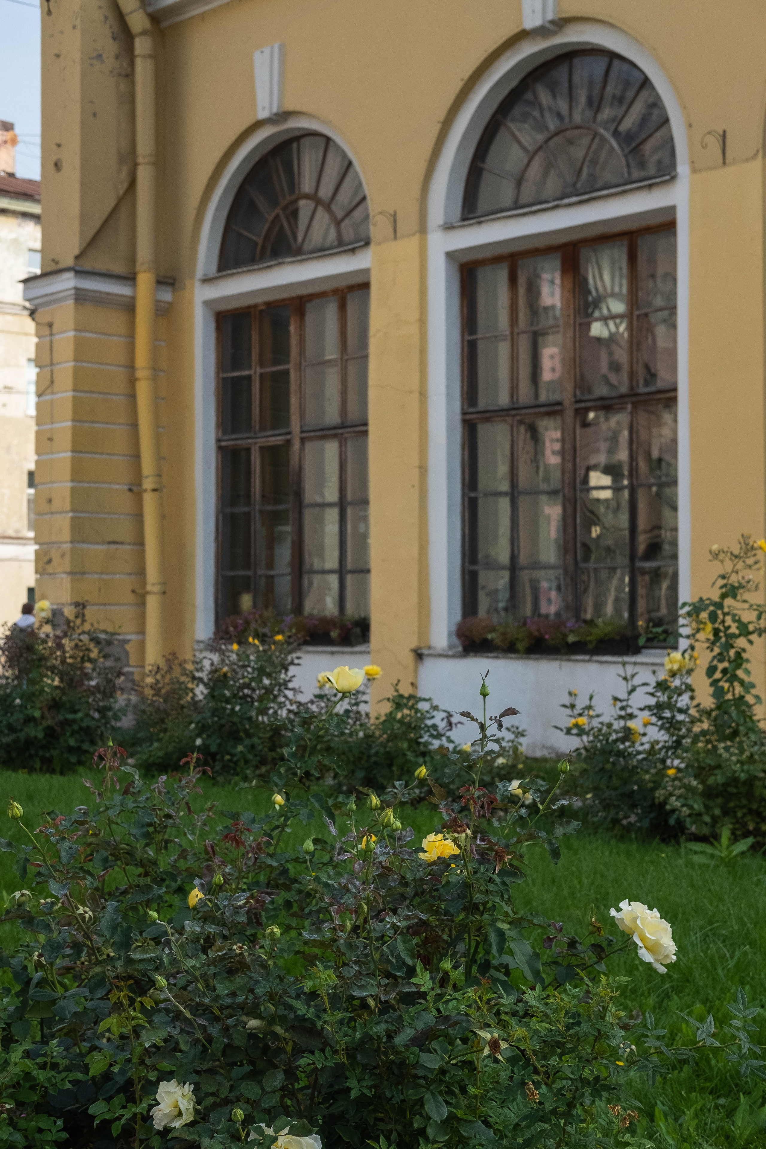 Питер 2024. Свадебный и семейный фотограф в Новосибирске, Санкт-Петербурге, Москве