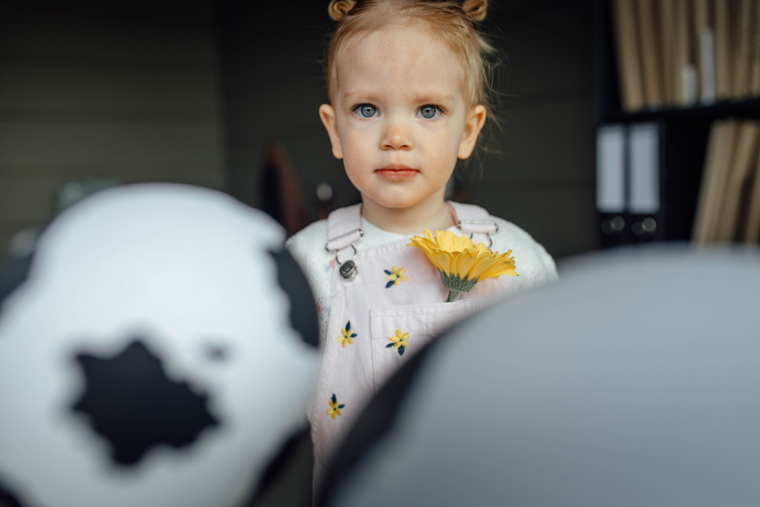 Репортаж дома, др