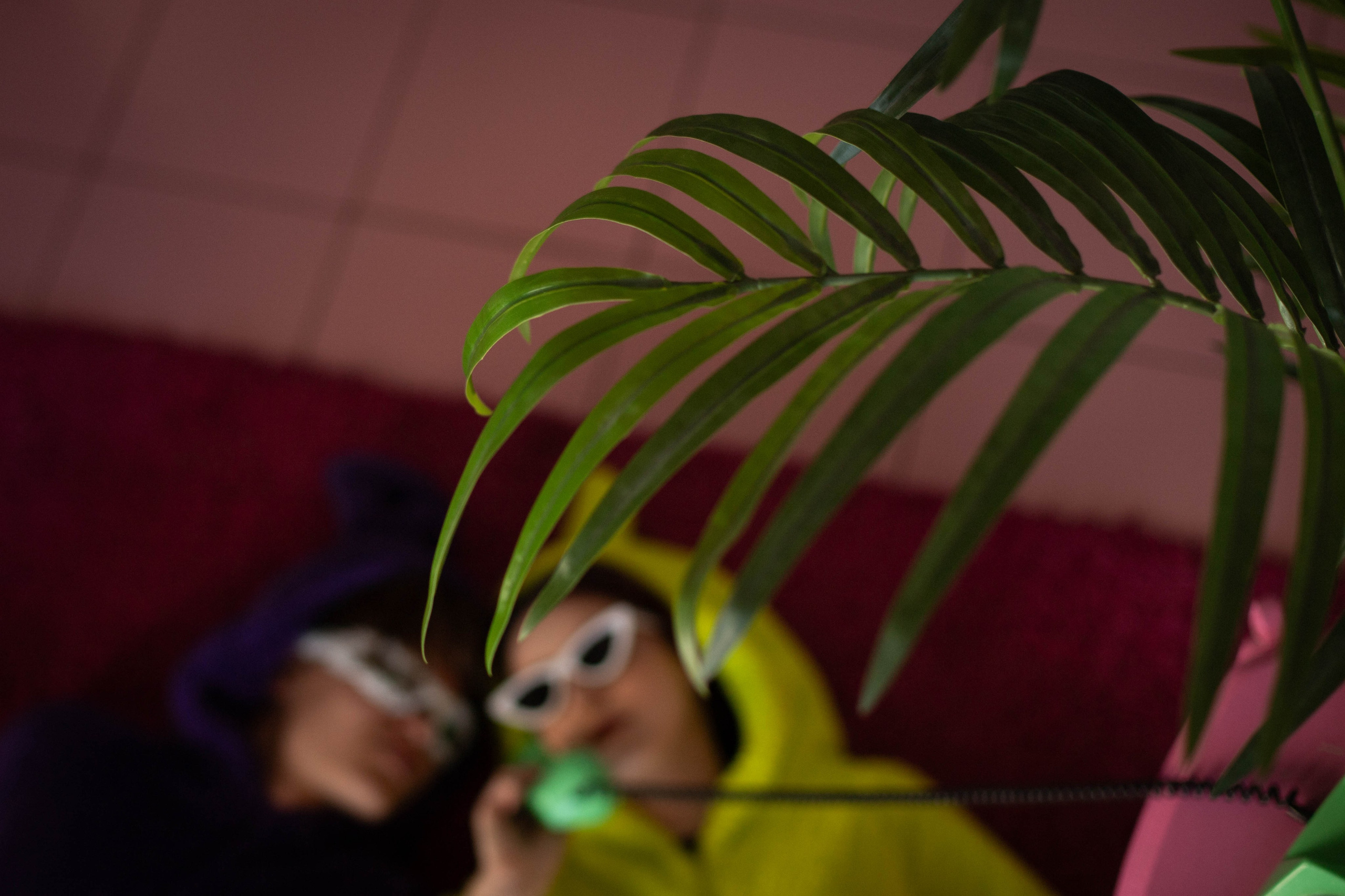 Телепузики. Александра Мельниченко/ Бегающий фотограф