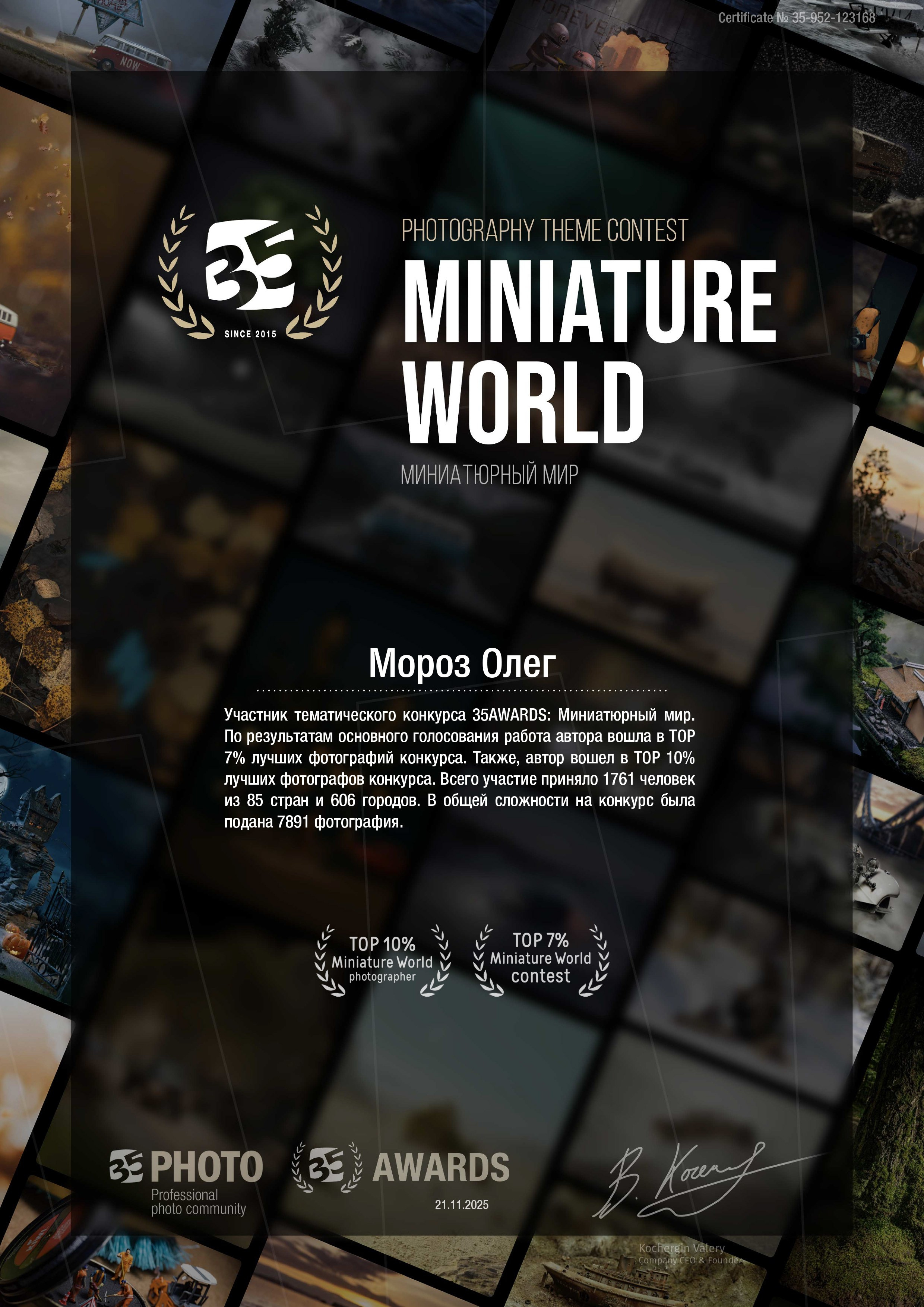 Диплом за попадание в топ конкурса "Миниатюрный мир" на 35awards