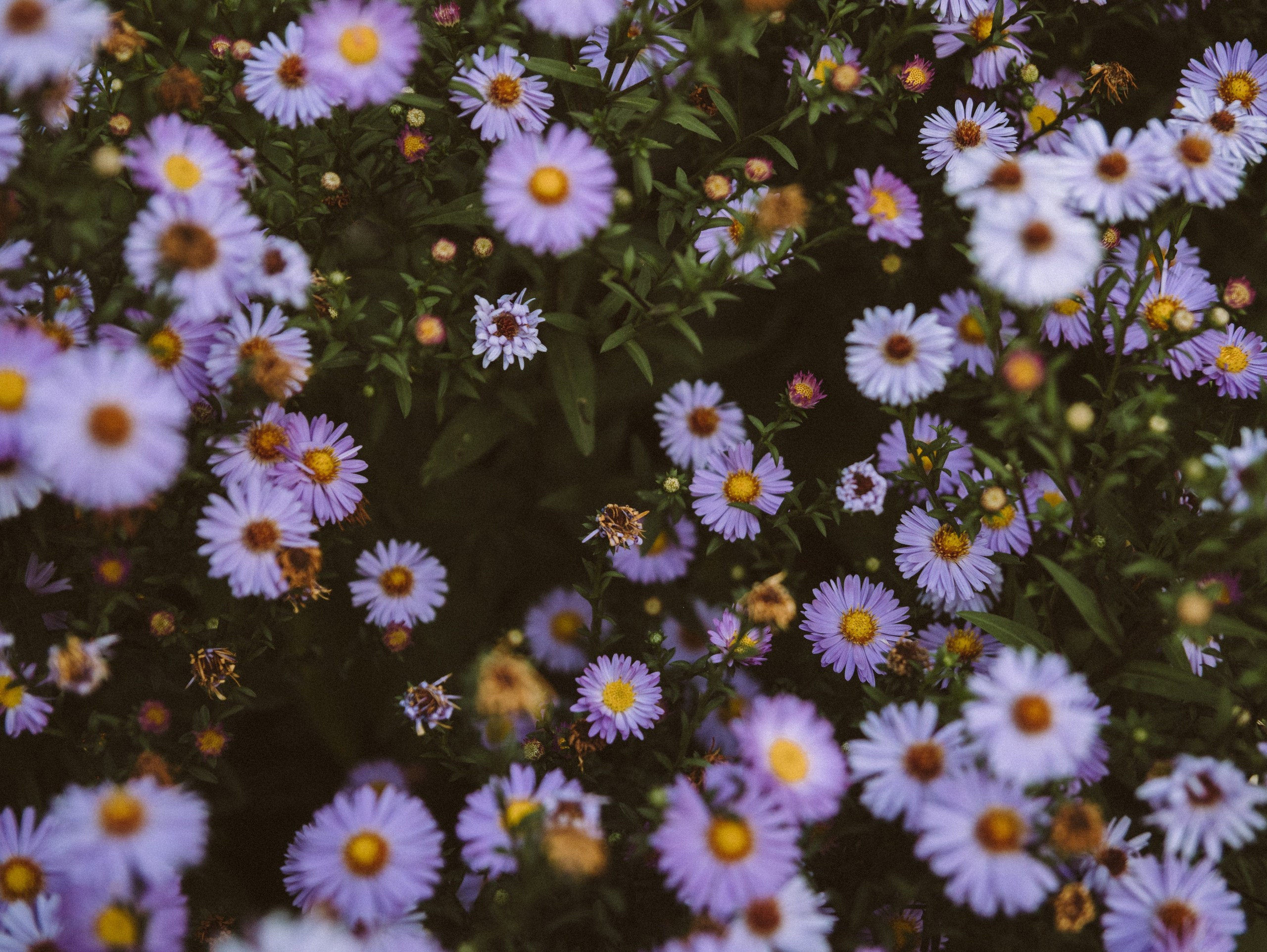 Природа. Jorgis Talè — photographer, kind person, teacher of arts and other mag