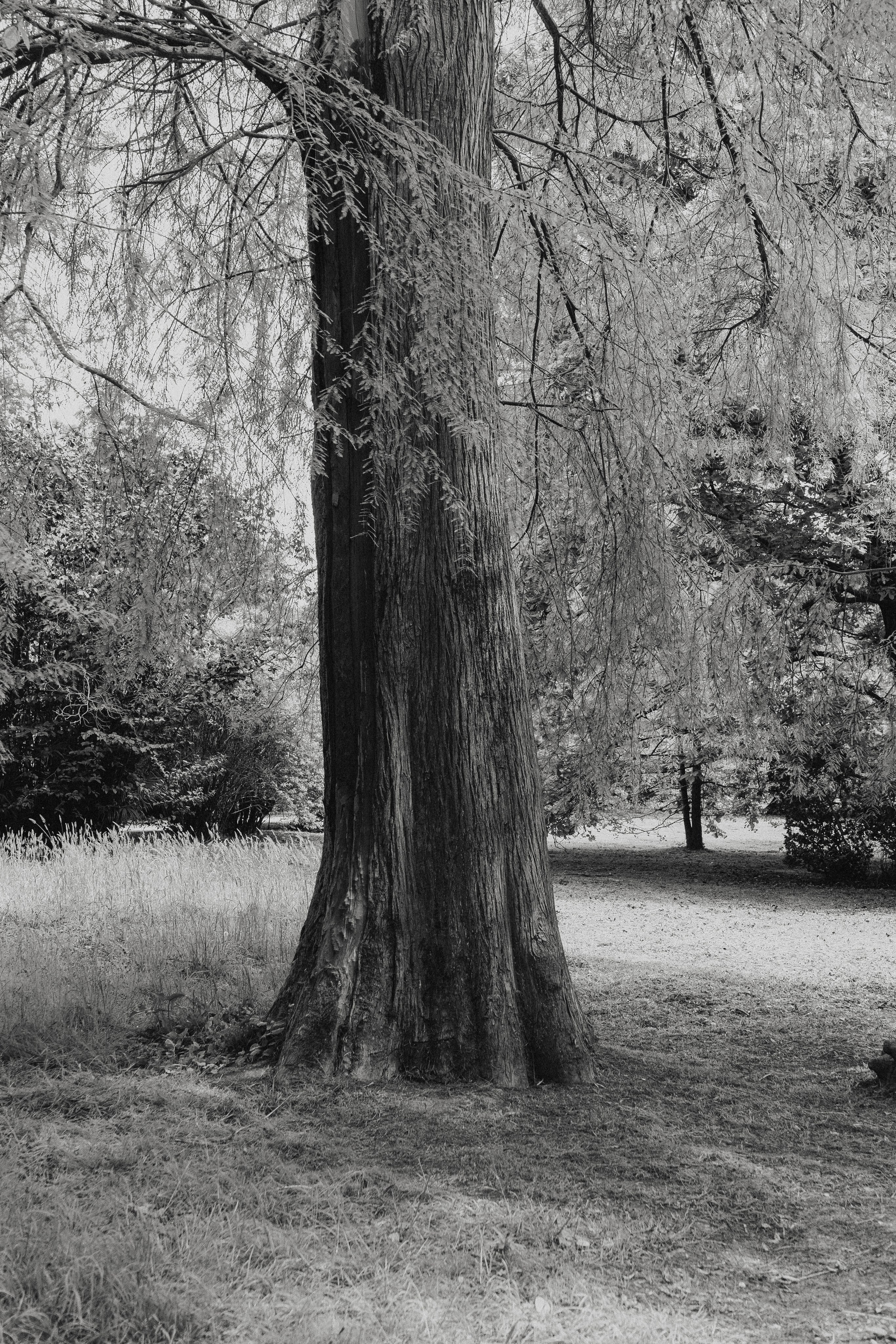 Сочи и Абхазия. Денис Марков — фотограф в Екатеринбурге