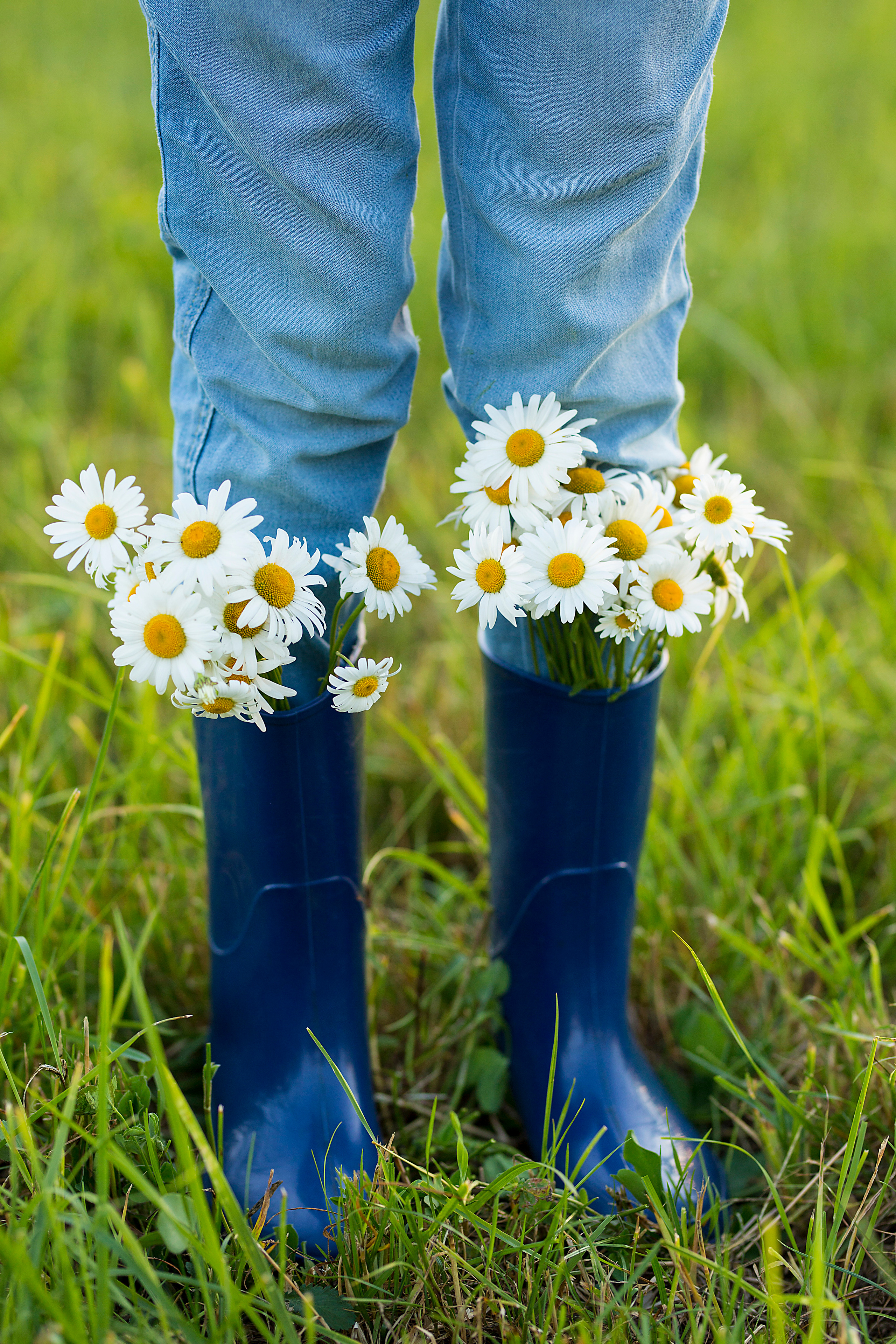 Ромашки в сапогах