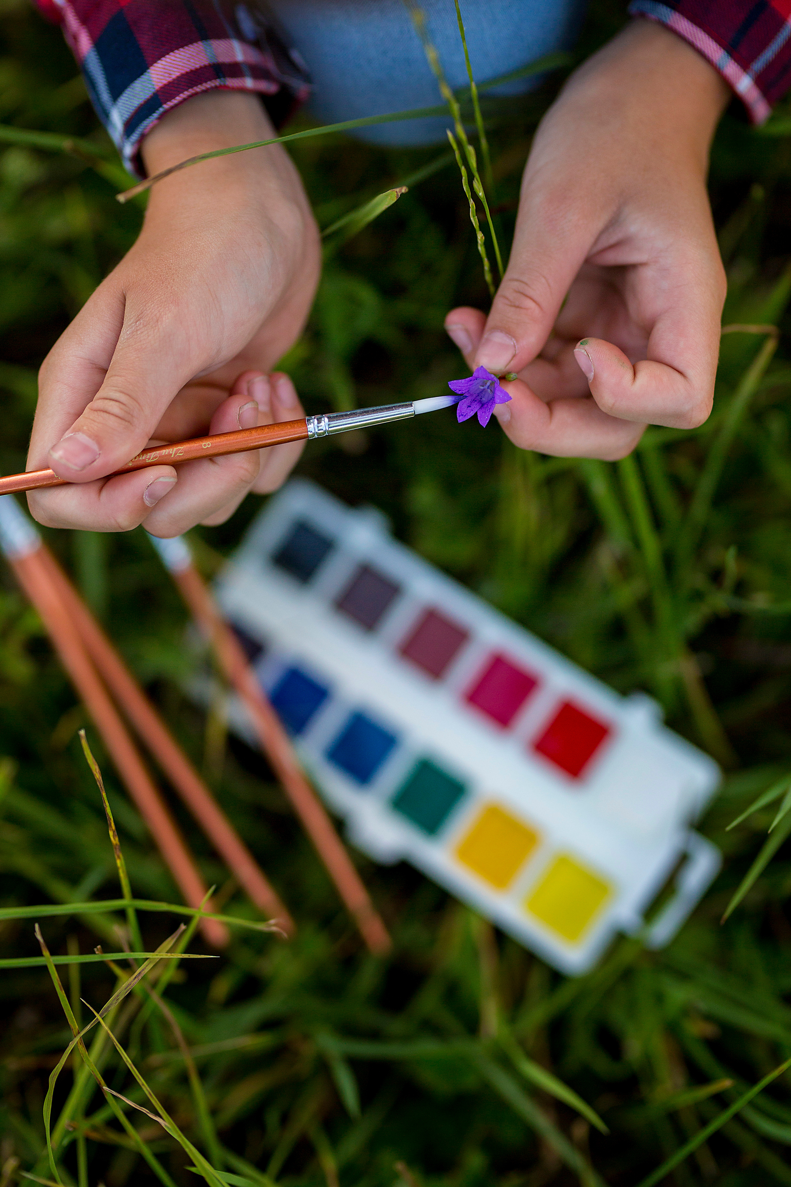 Раскрашивает цветок