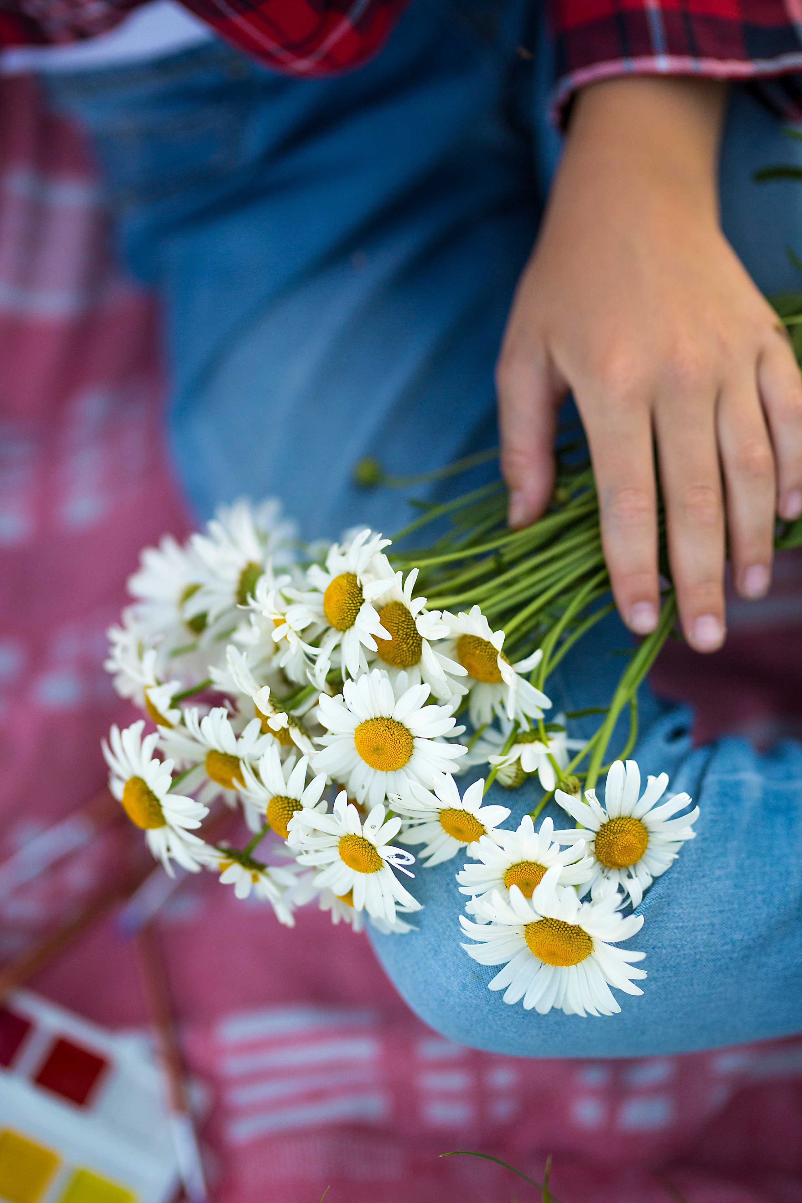 Фотосессия с ромашками