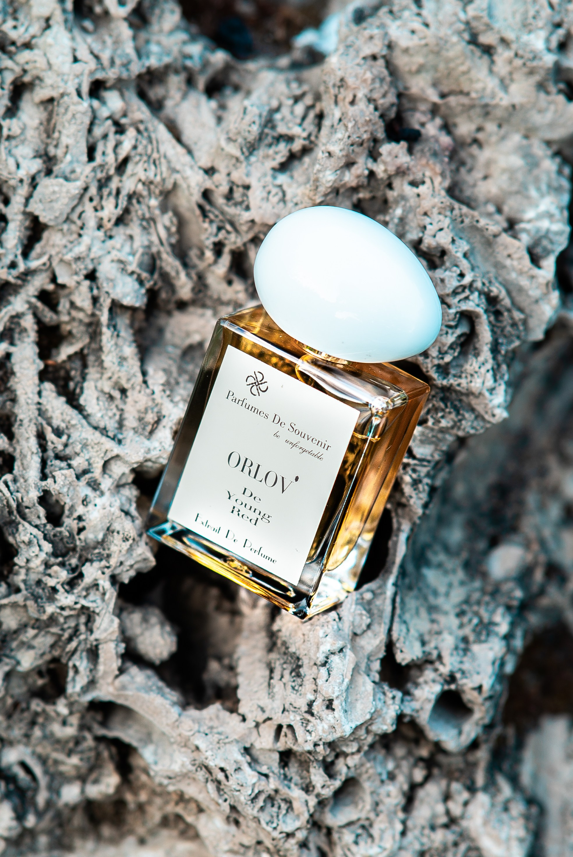 Фуд и Предметка. Behrusson — видеограф и фотограф в Москве. Кадр — это решение, не случайность