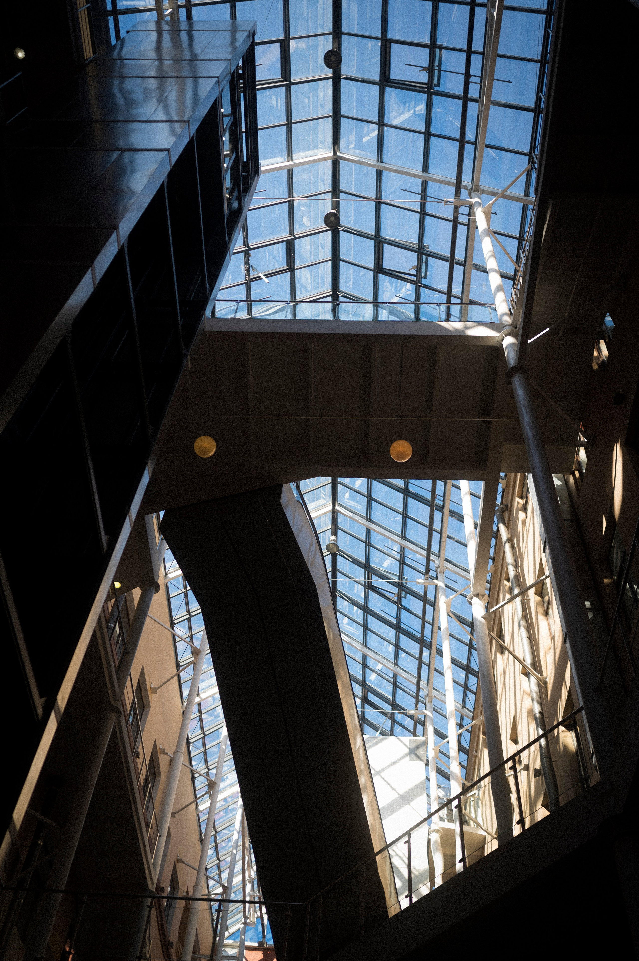 North 2024. Kartascheff