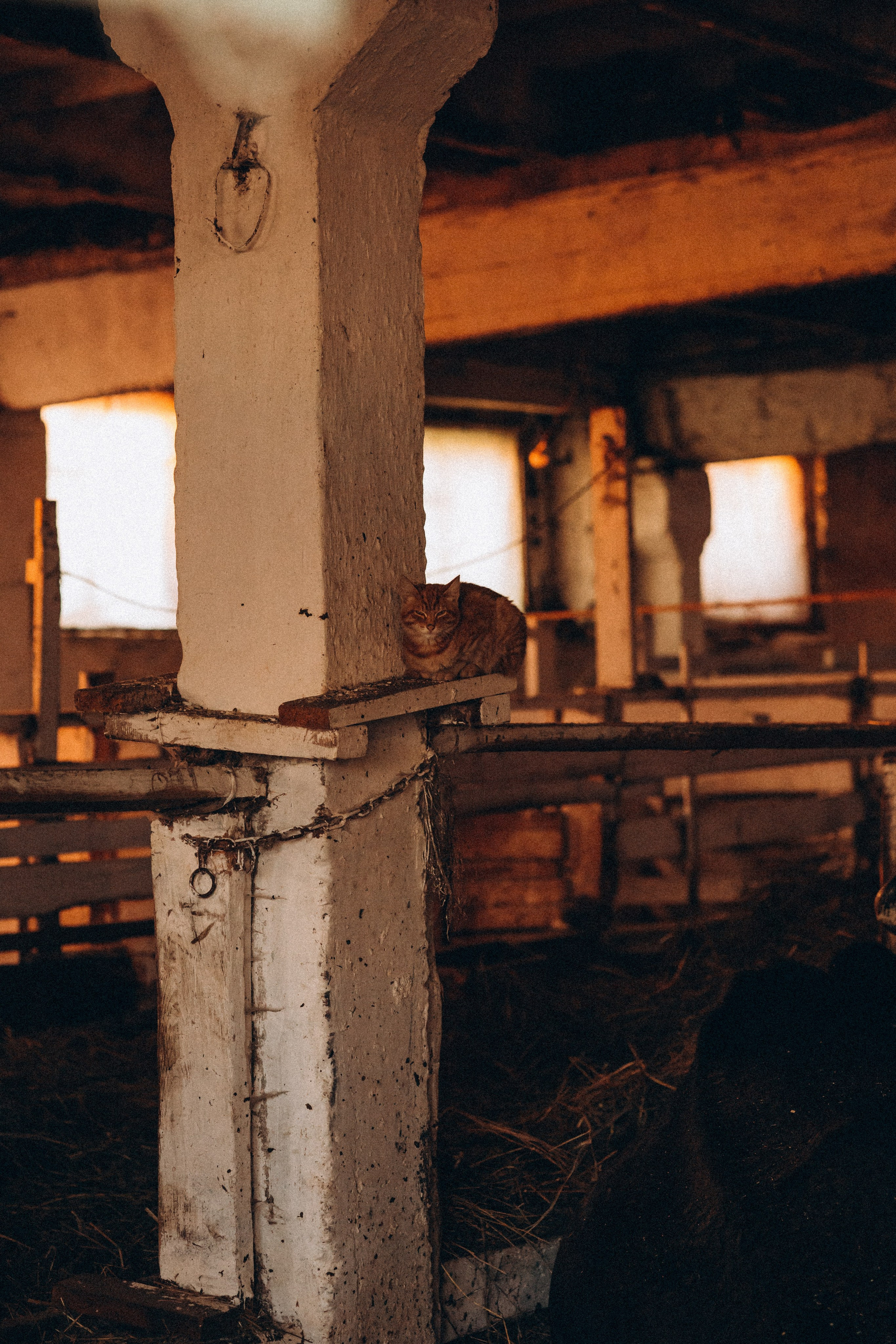 Гриша Арина и Есения. Семейный фотограф Нижневартовск Тюмень Ефимова Ирина