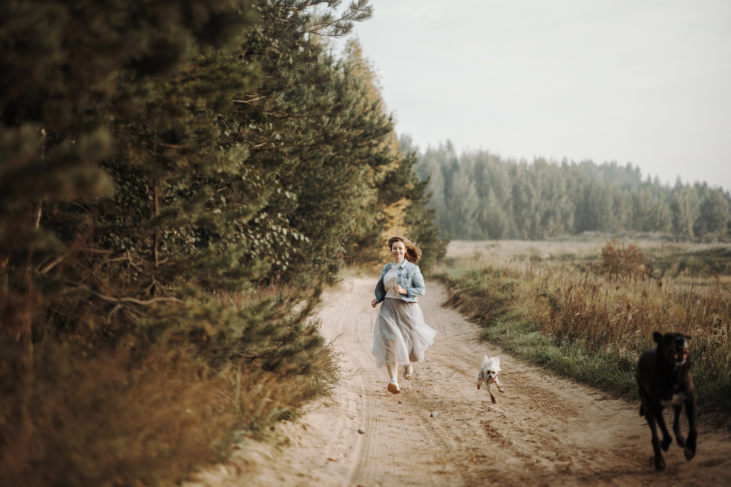 Любовь и ее хвостики. Фотограф — Анималист | Санкт-Петербург