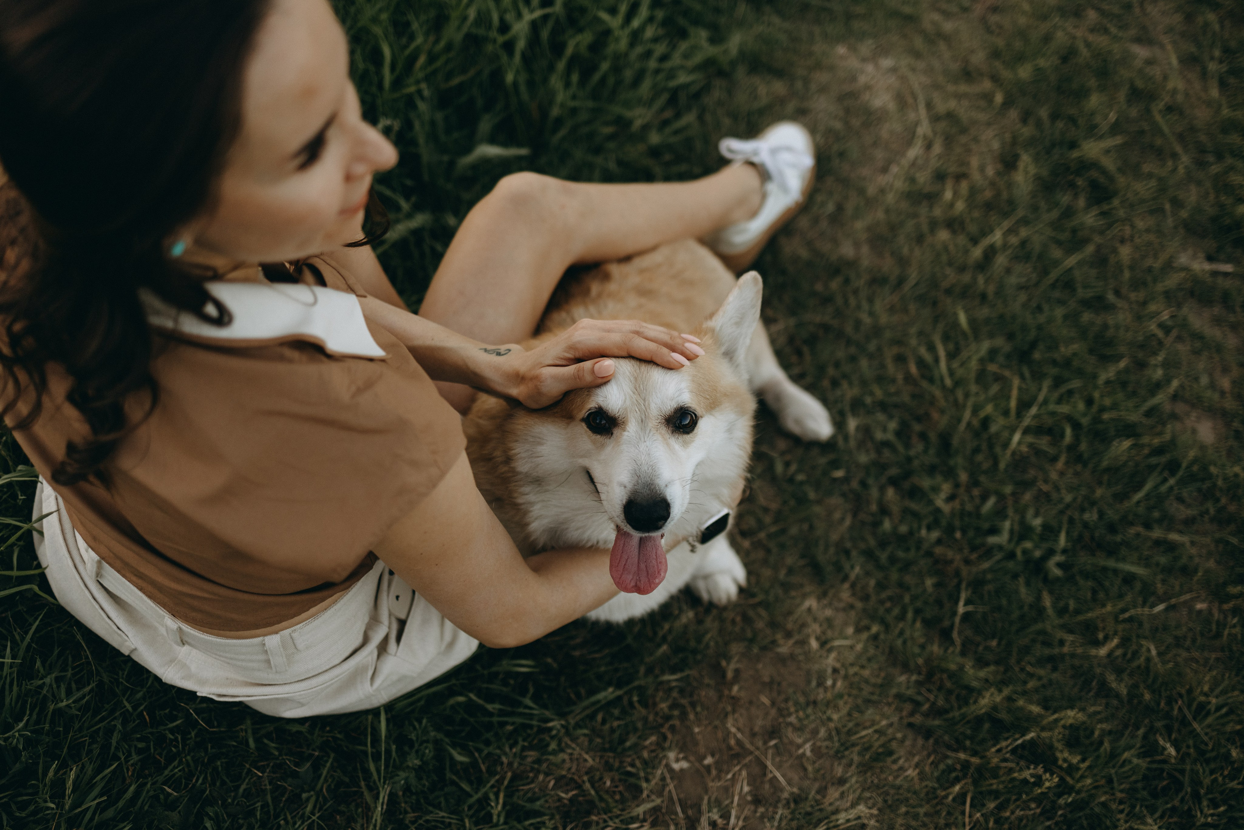 Кристина и Шелби. Фотограф — Анималист | Санкт-Петербург