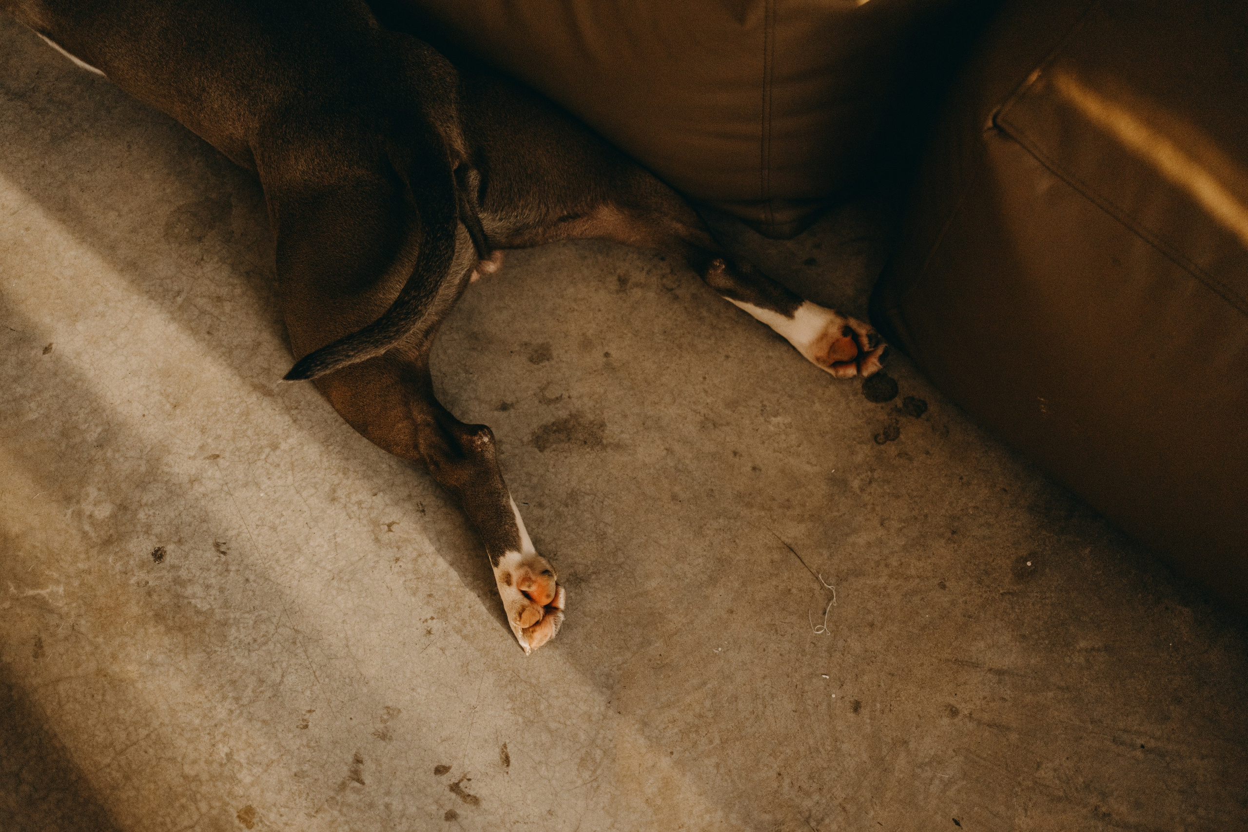 Саша и Кракен. Фотограф — Анималист | Санкт-Петербург