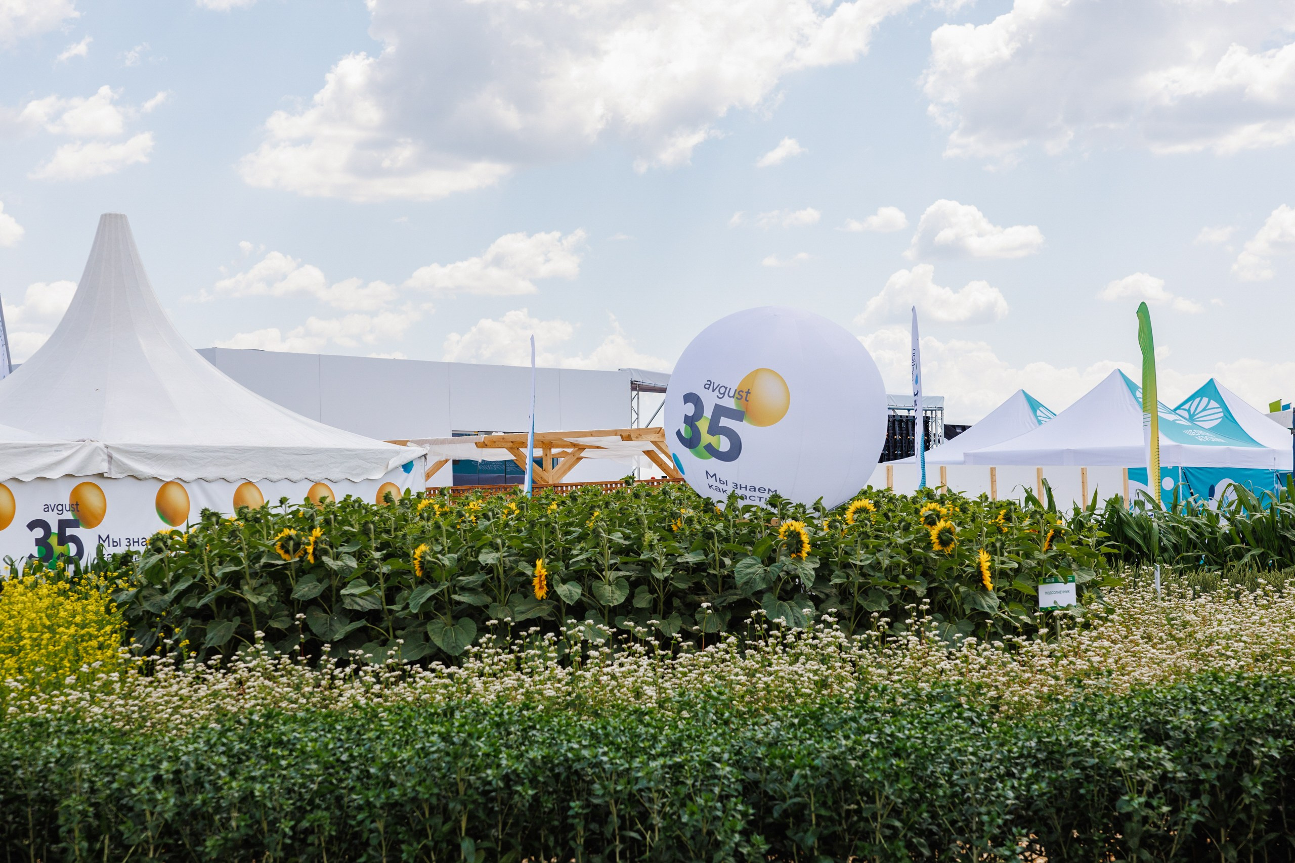День Поля 2025 Волгоград. Фотограф Ставрополь Петр Голубенко