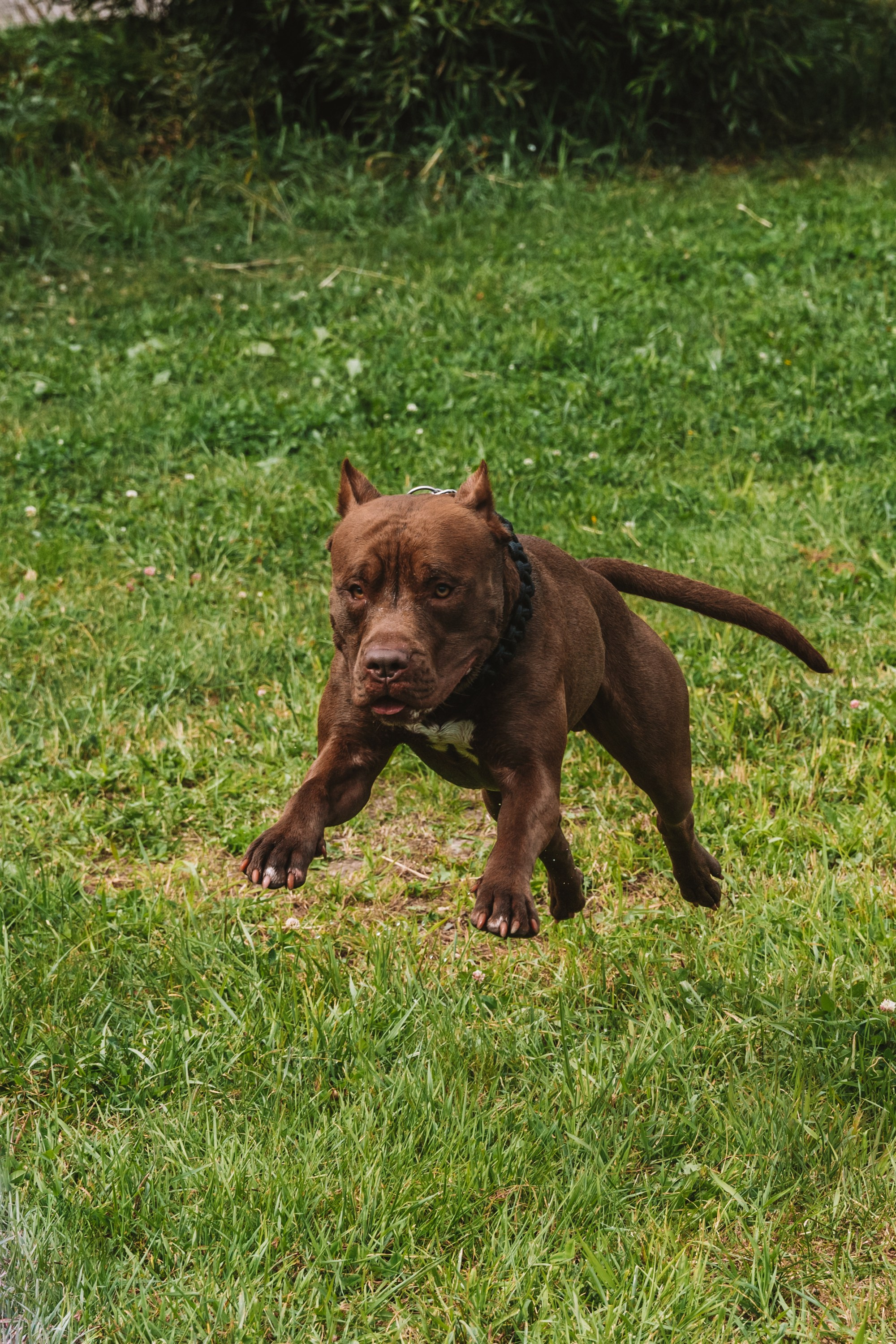 Лав стори фотограф Санкт-Петербург. Свадебный, семейный, портретный, репортажный фотограф в Санкт-Петербурге