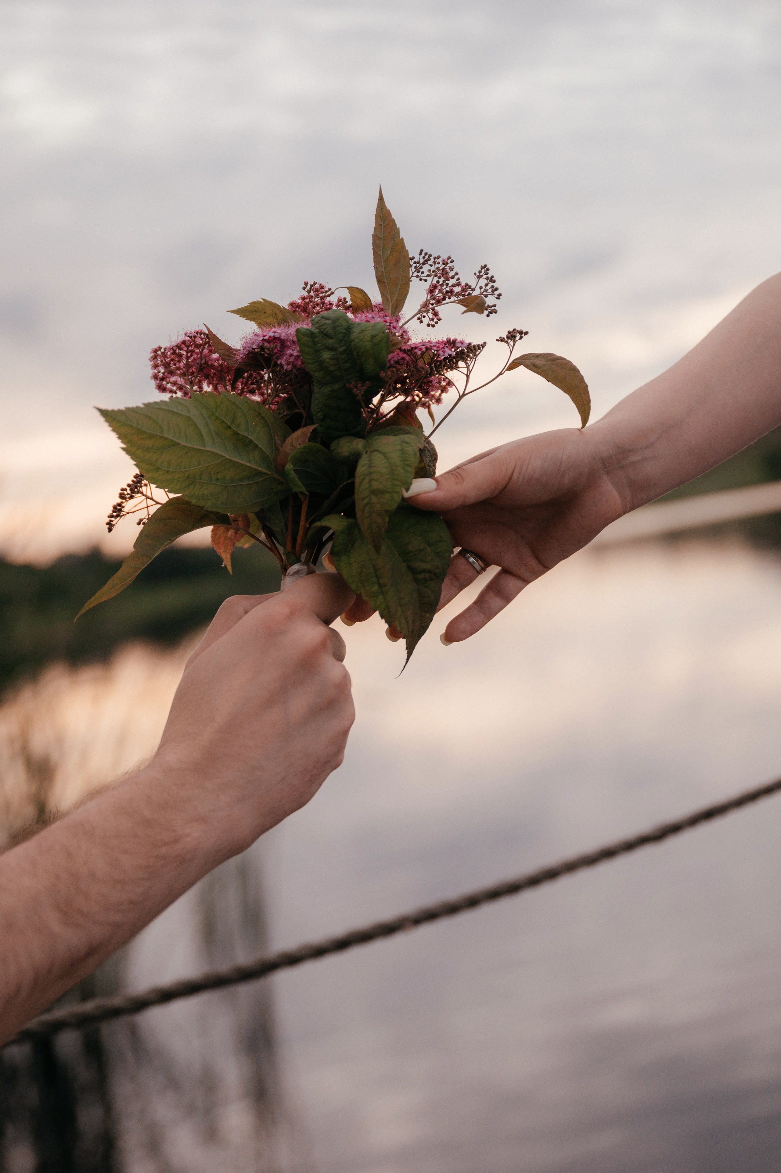 Ваня и Алина. Свадебный фотограф Марина Жемчужникова в Москве и в Белгороде