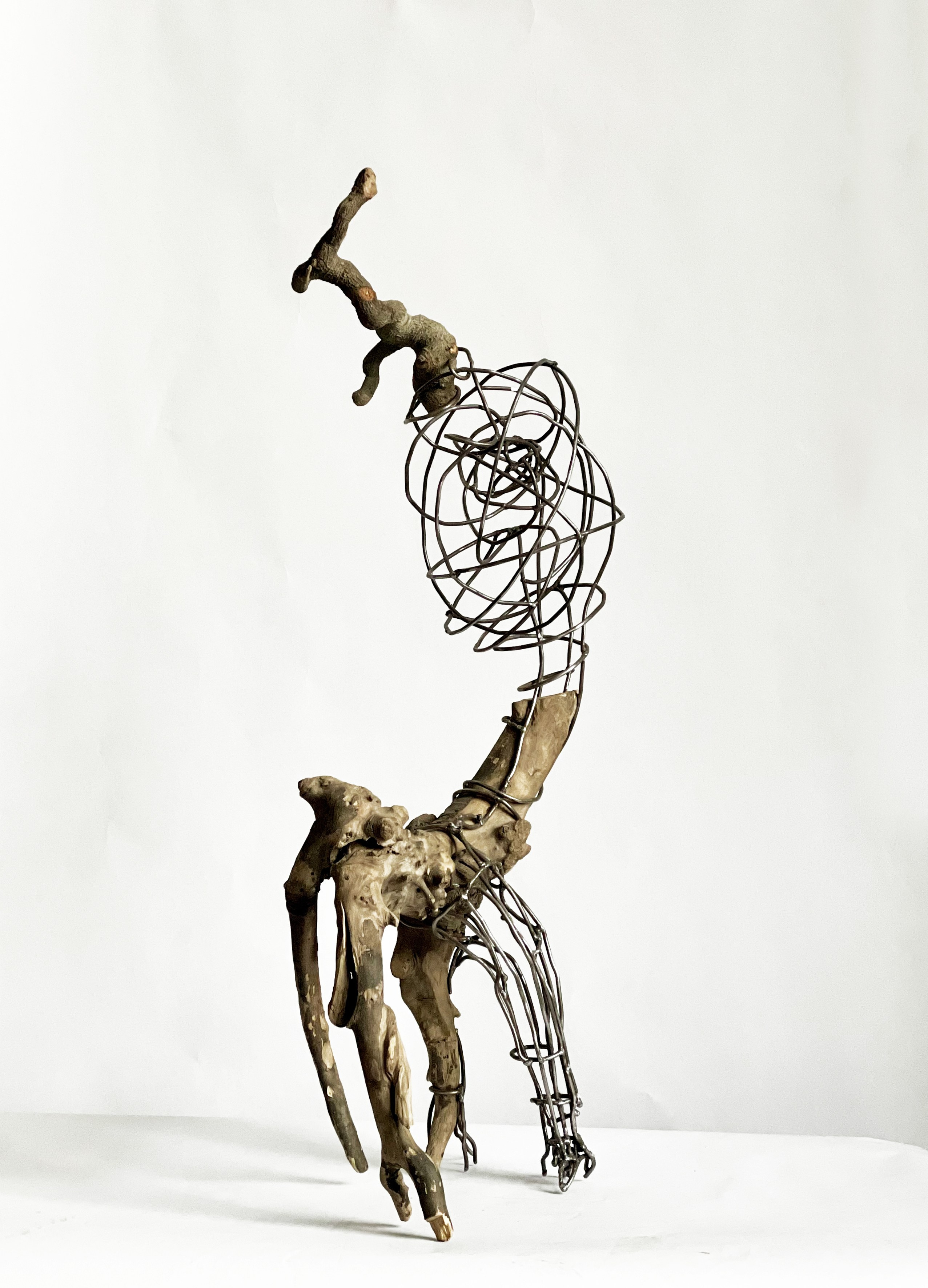 Серия «пойманные лесом» / series «Caught by the Forest». Художник — скульптор Антонина Фатхуллина