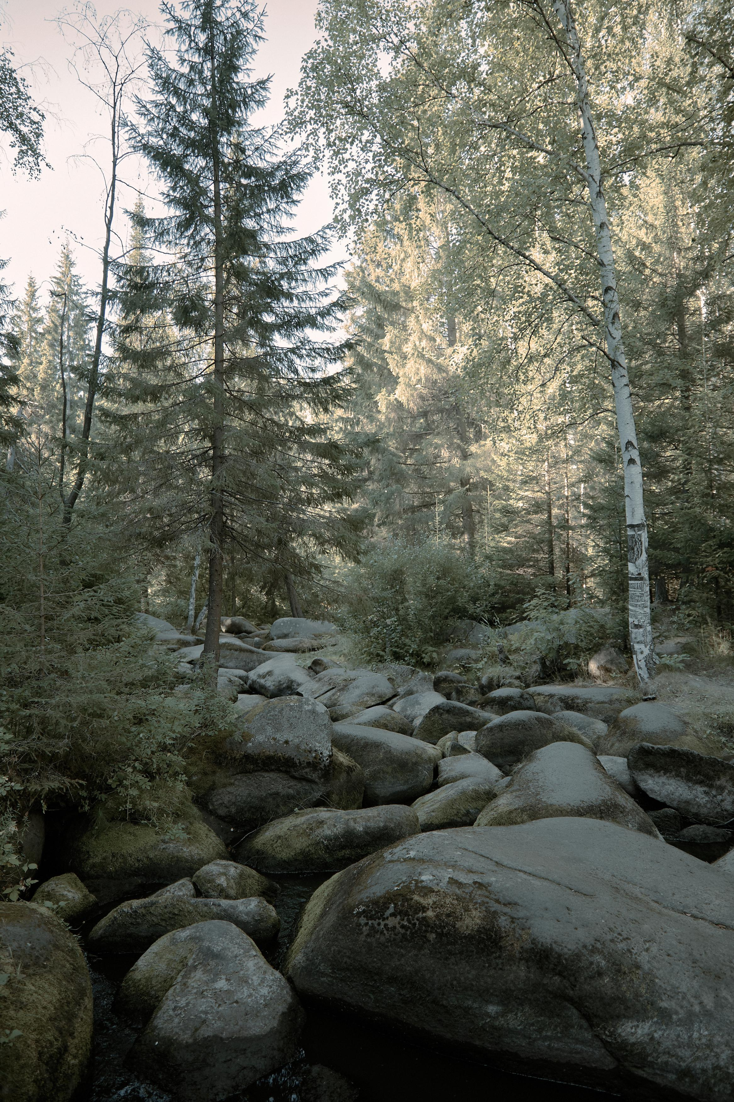 Фотограф Александр Мурашко. Свадебная и семейная фотография. Фотограф Екатеринбург. Свадебная, семейная и портретная фотосъемка