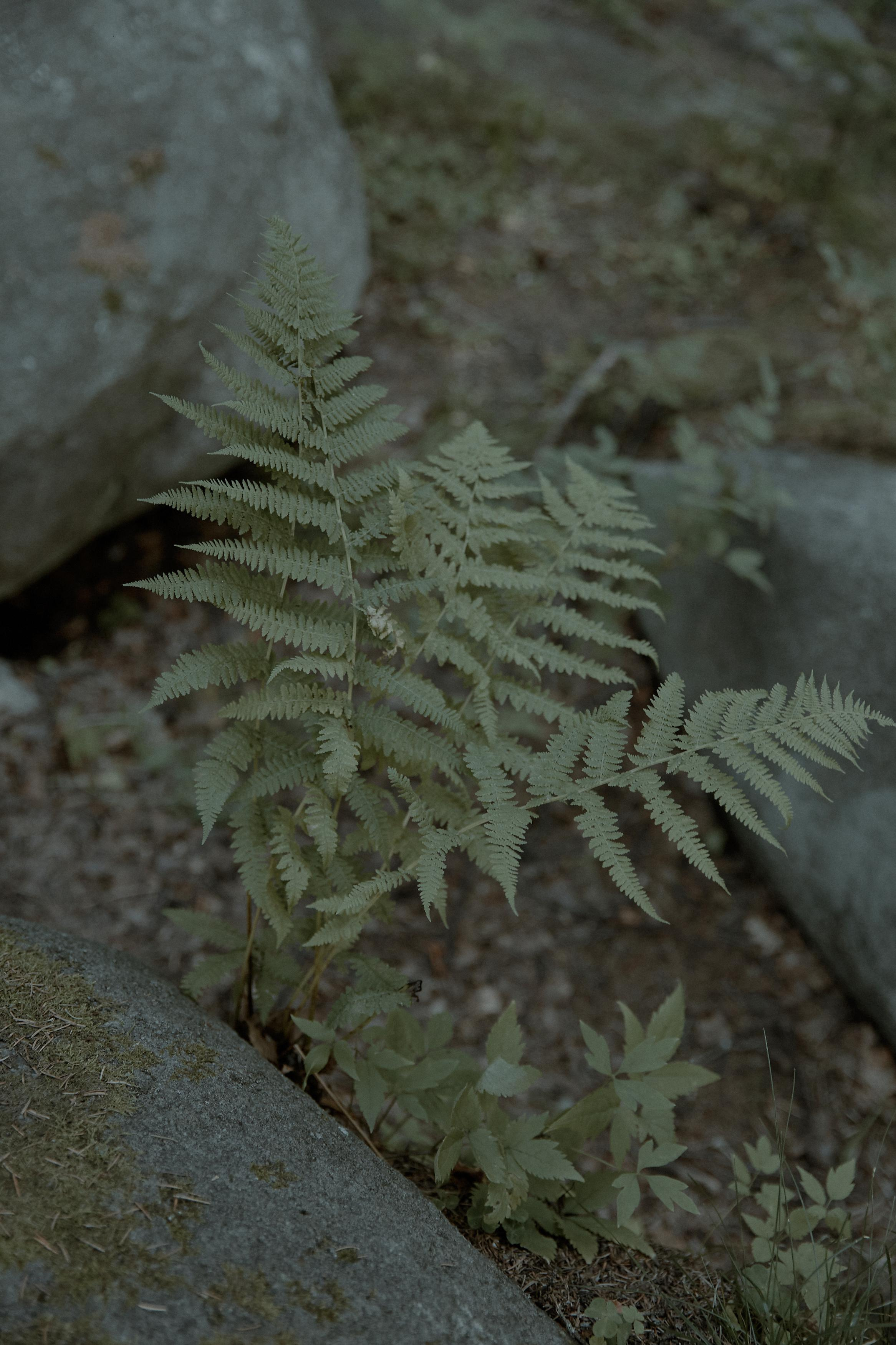 Фотограф Александр Мурашко. Свадебная и семейная фотография. Фотограф Екатеринбург. Свадебная, семейная и портретная фотосъемка