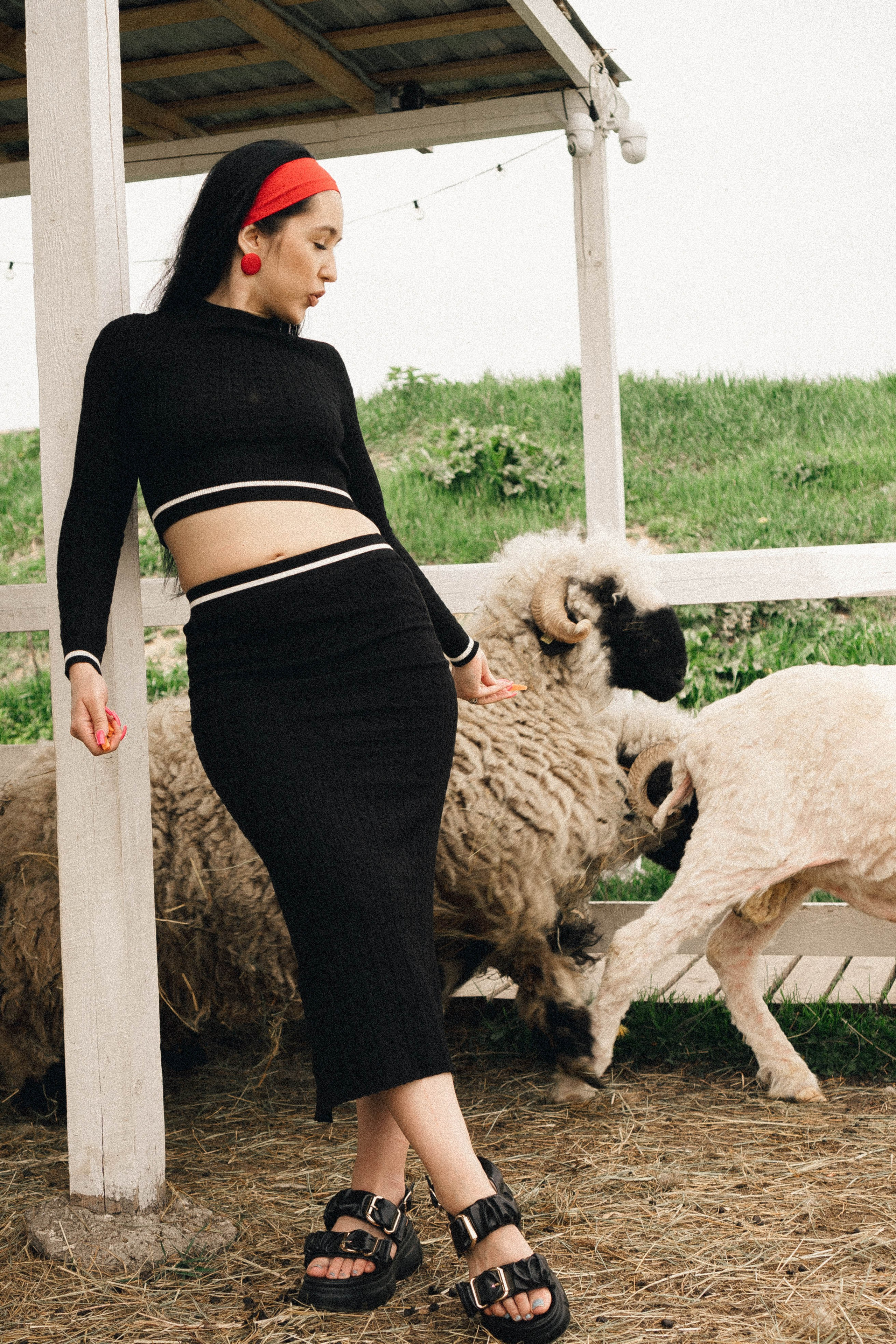 Ферма Альпак. Профессиональный фотограф, Санкт-Петербург — Виктория Богомолова