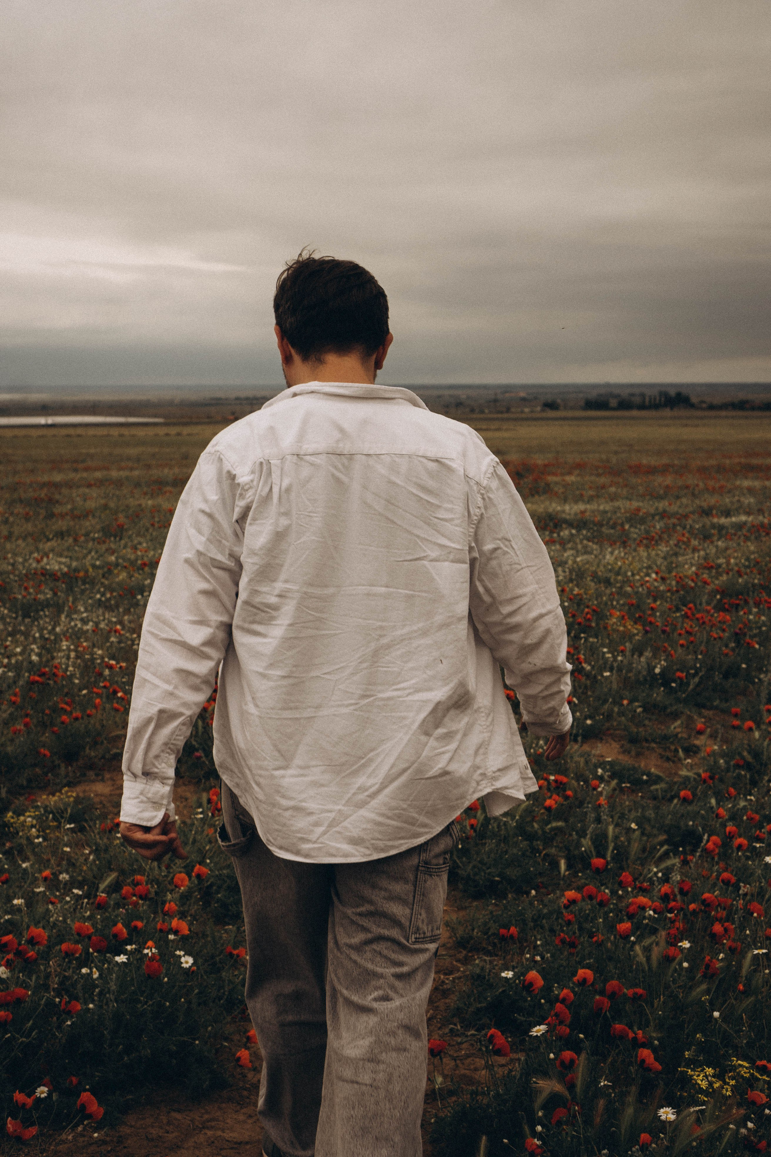Маки. Профессиональный фотограф, Санкт-Петербург — Виктория Богомолова