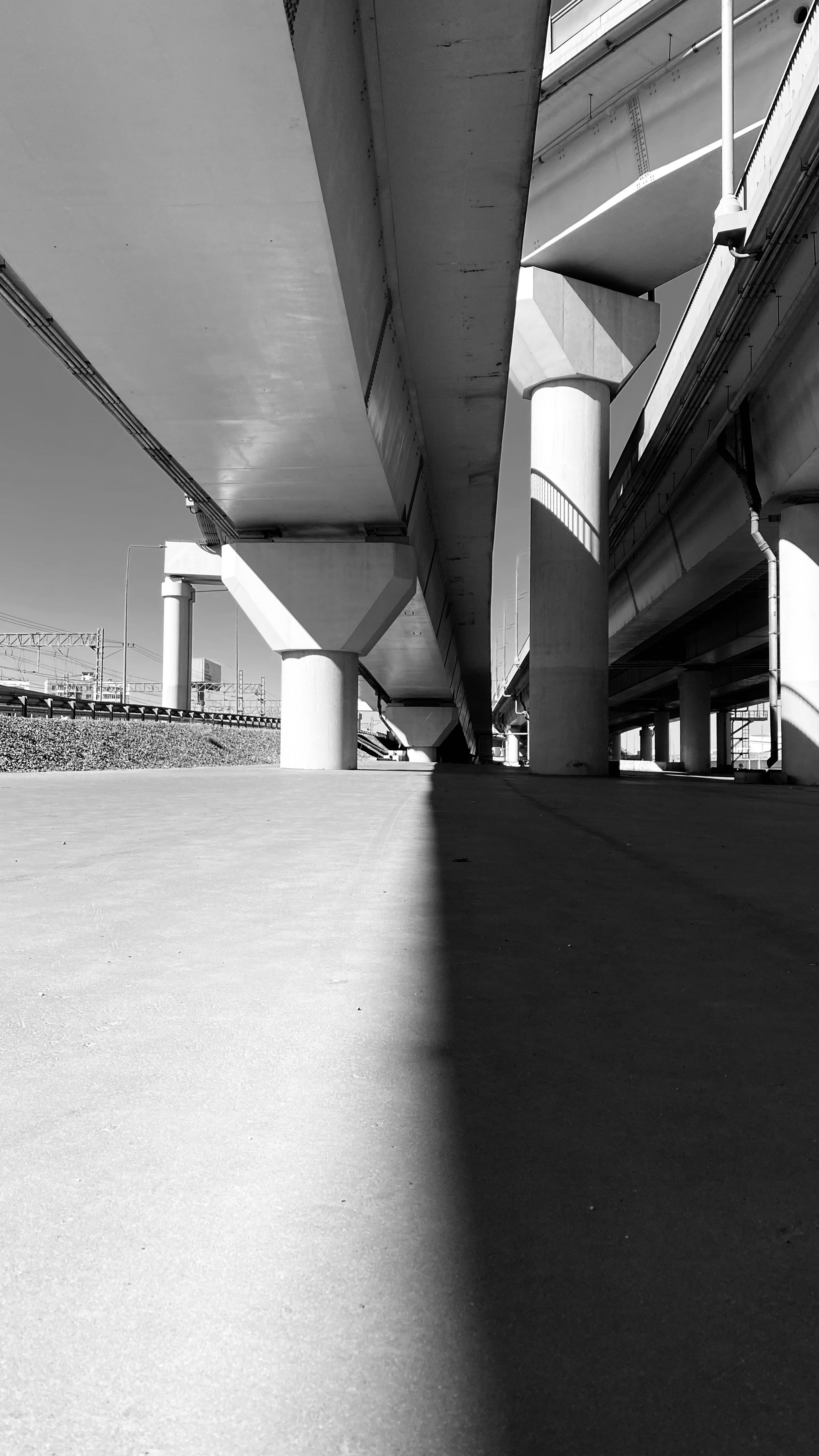 Мобильное фото. Фотограф в Москве Айгуль Евграфова