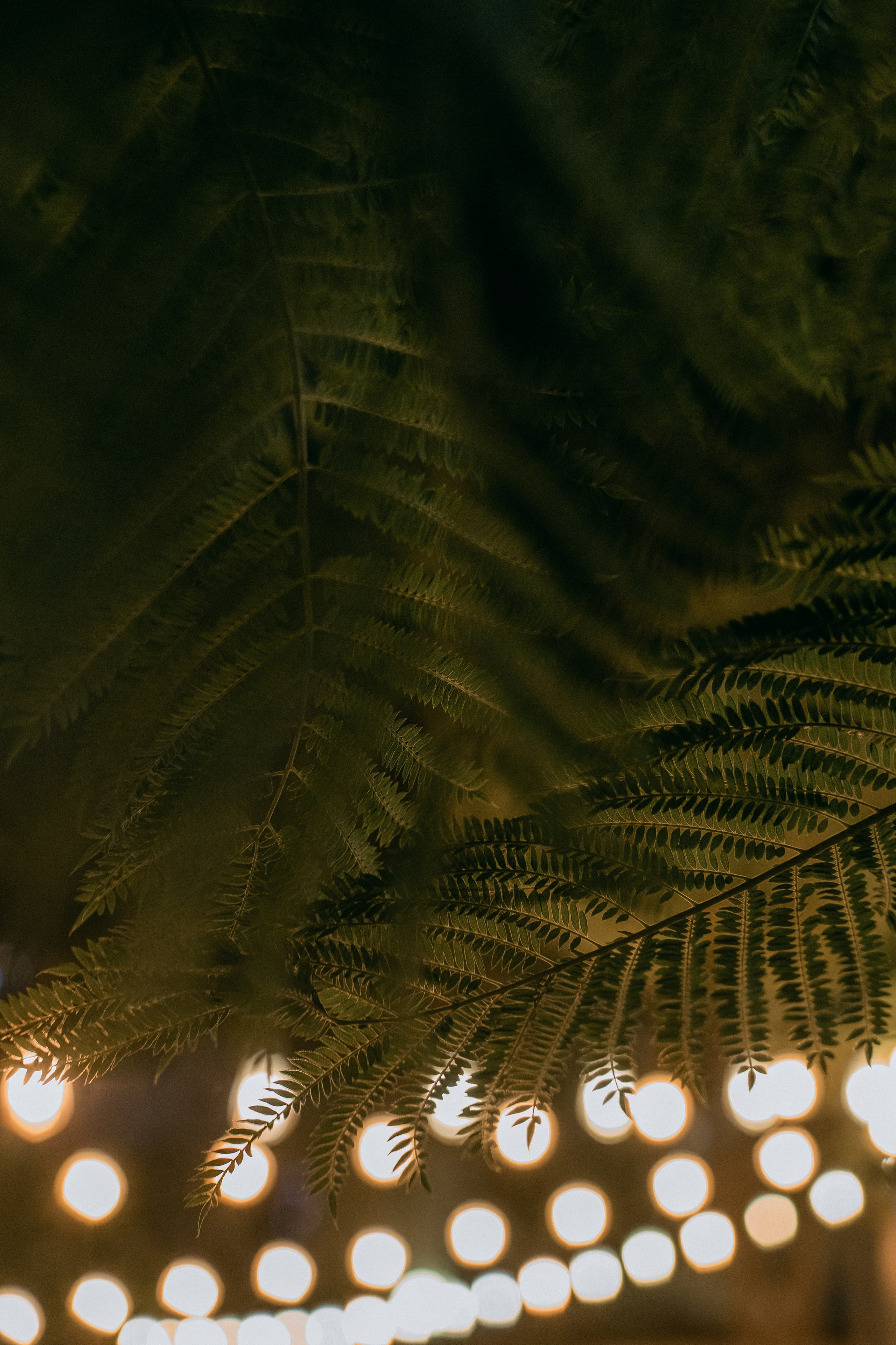 A German wedding among palms. Wedding & Documentary Photographer based in Nuremberg — available across Europe & Turkey | Vitalii Nasonov