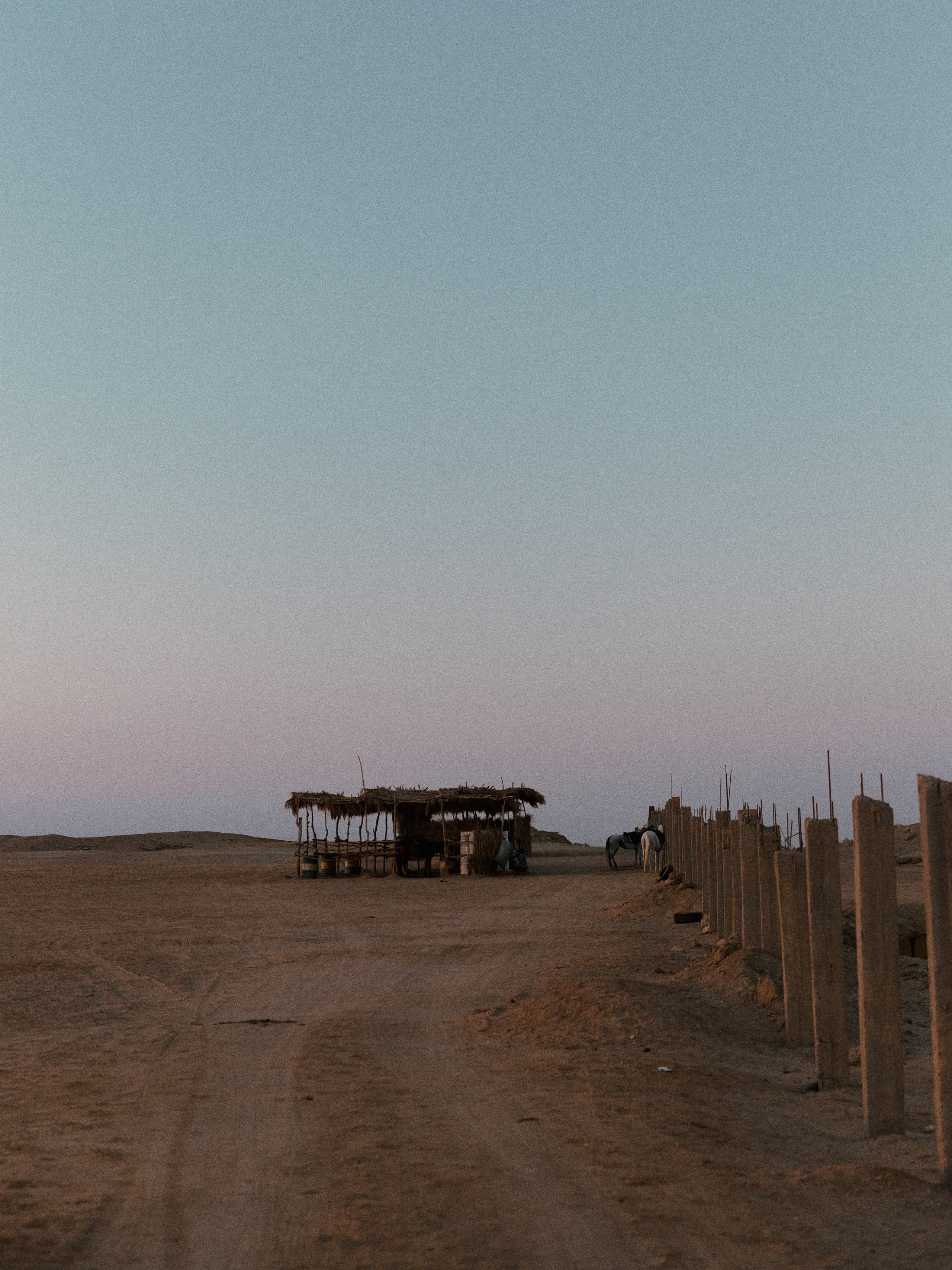 Улицы. Jorgis Talè — photographer, kind person, teacher of arts and other mag