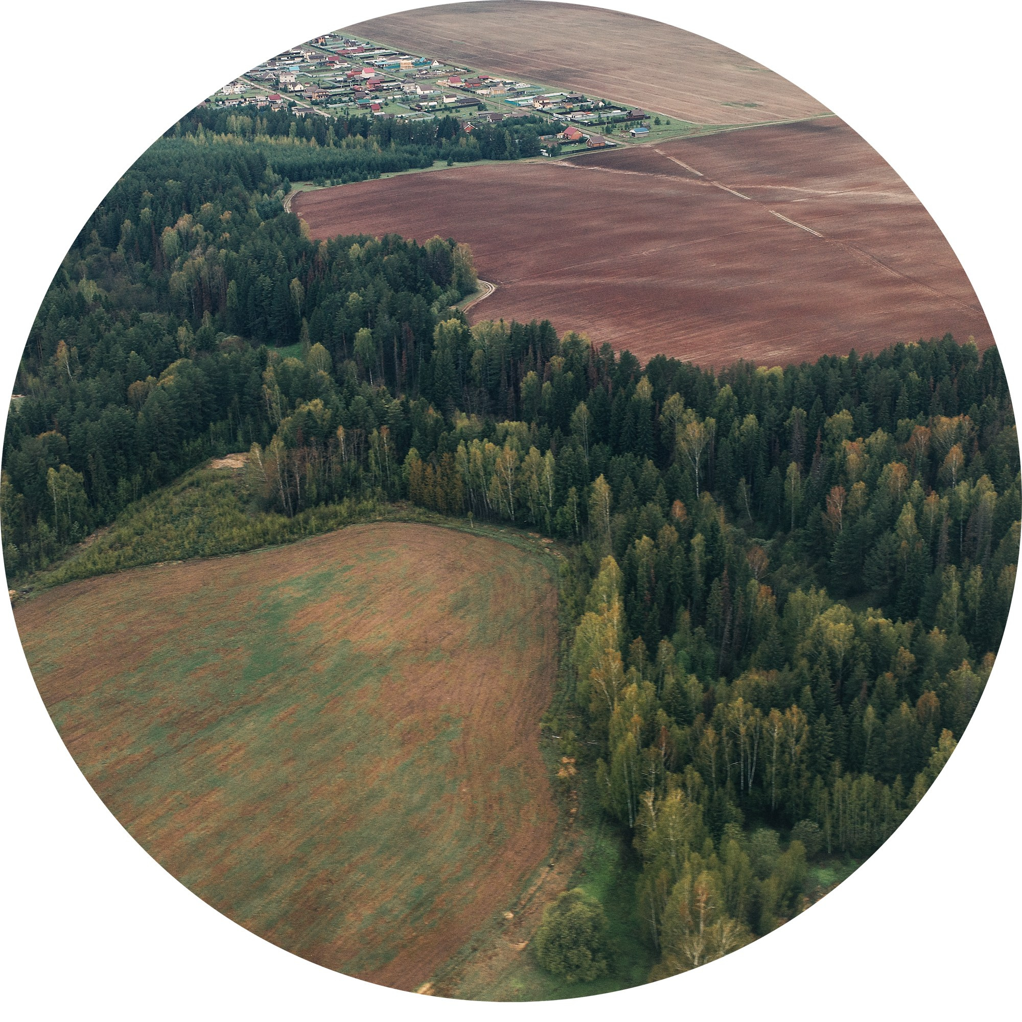 Ситец небес 2024. Яна Каменская