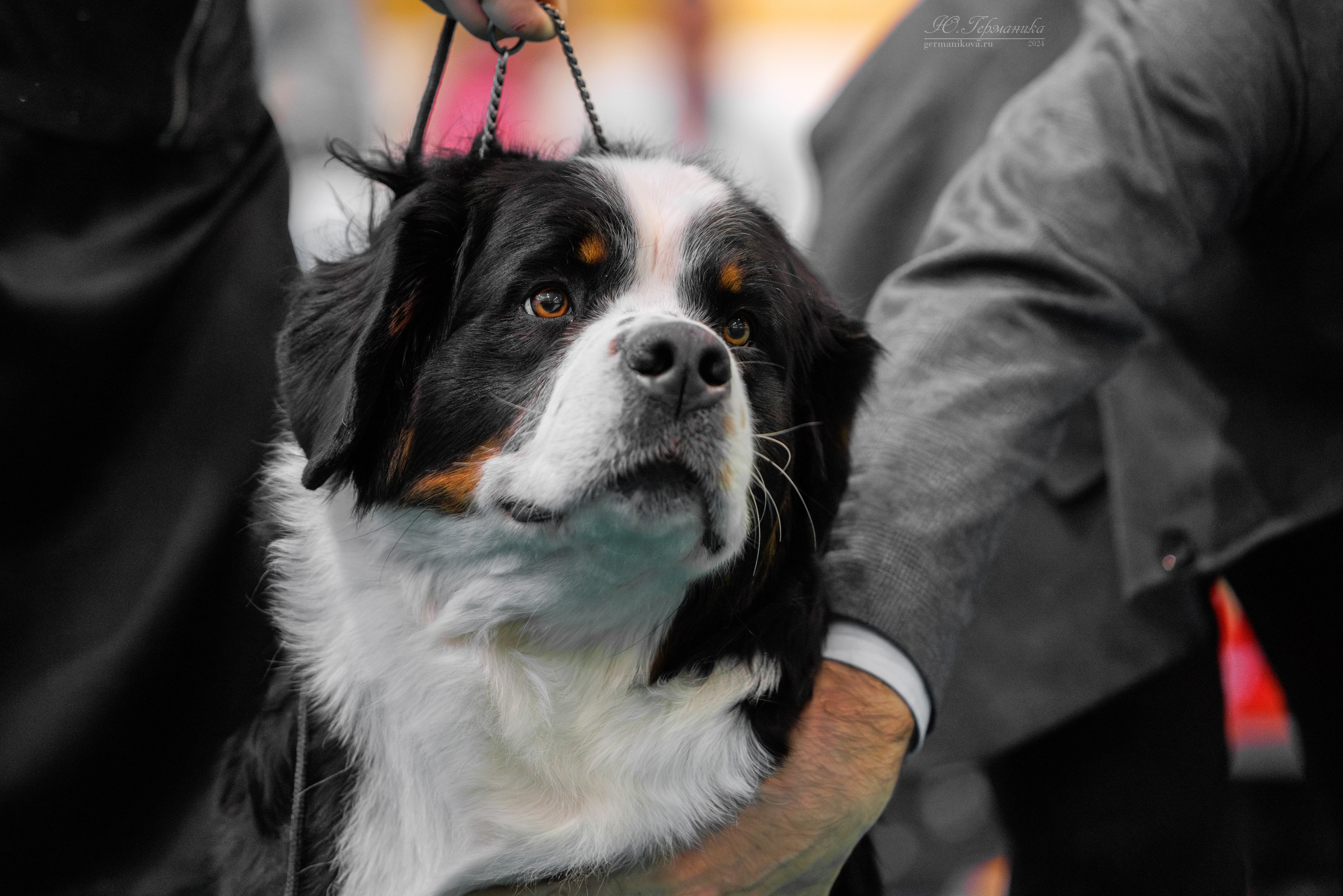 Минск 23.11.2024